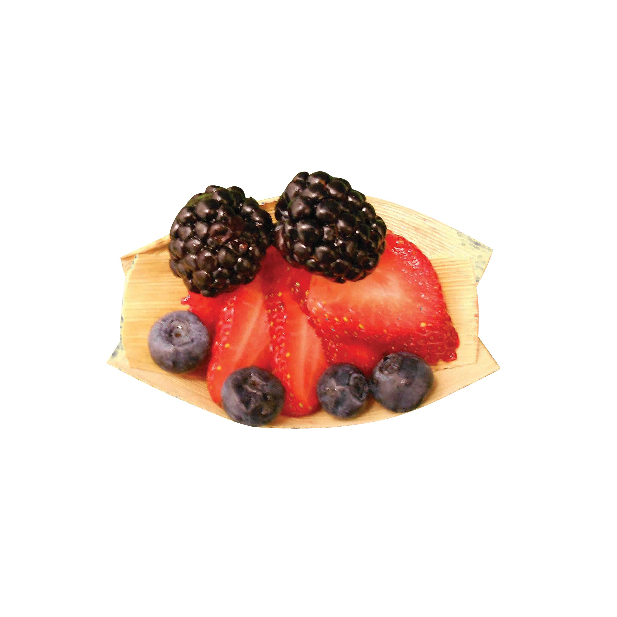 TreeChoice 3.14 oz Disposable Boats (100 Packs of 24, 2400 Count) - Perfect for Catering, Parties, and Food Service