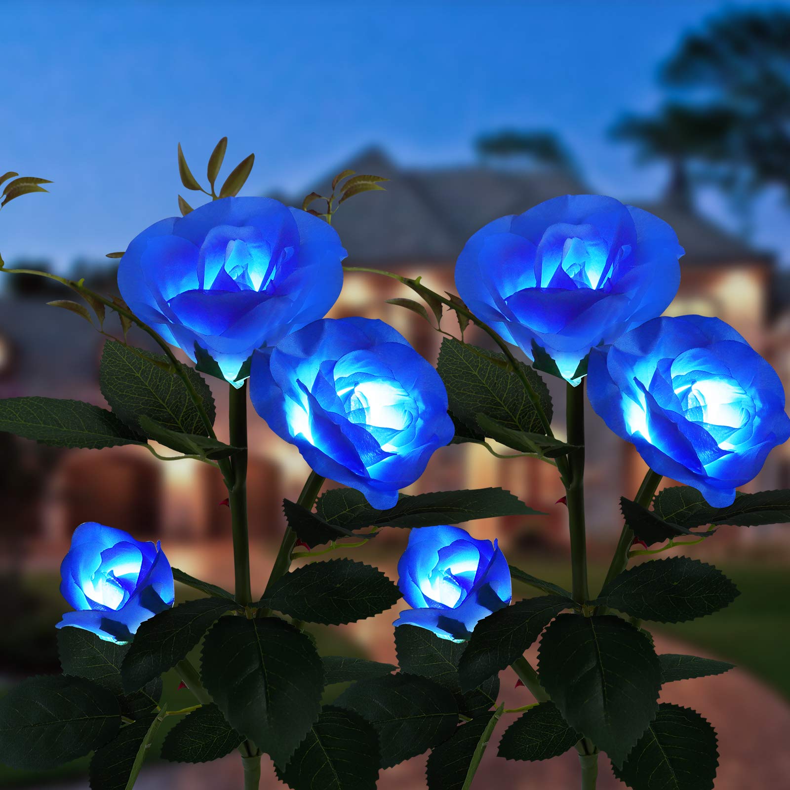 Solar Powered Garden Lights Outdoor - 2 Pack Waterproof Rose Flower Solar Lights for Patio, Pathway, Yard Decoration | Weather-Resistant Solar Decor for Garden, Lawn, Backyard & Landscape Lighting (Blue)