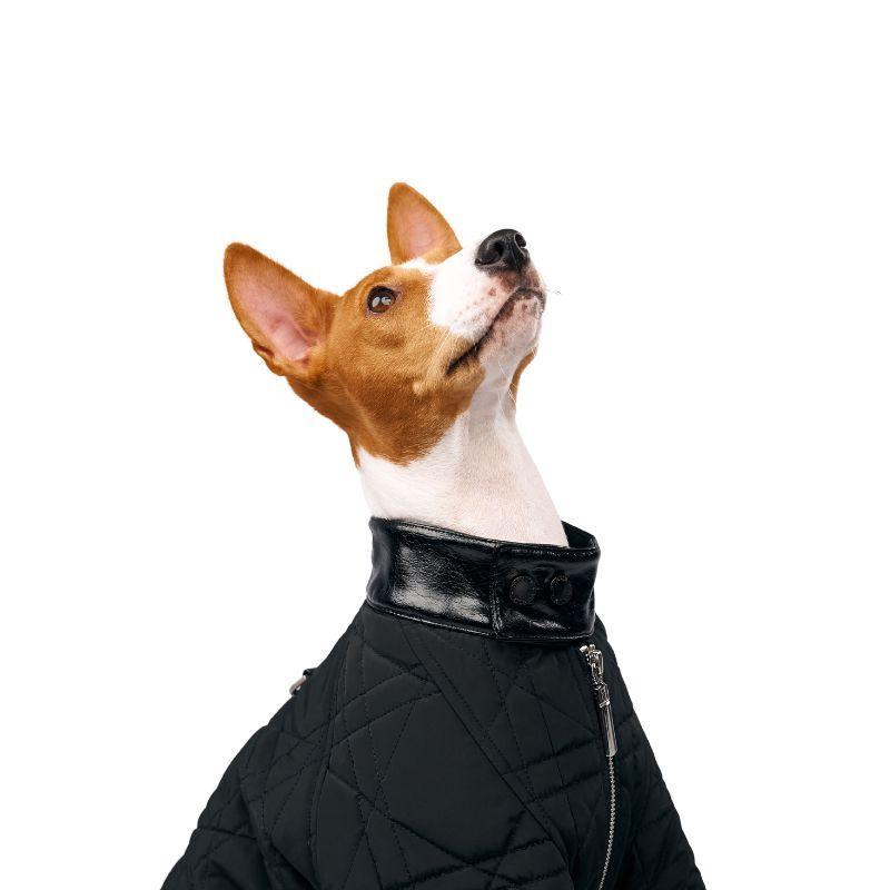 Quilted Puffer Jacket for Women & Men - Lightweight Warm Winter Coat with Stylish Shadow Stitch Design - Perfect for Outdoor Activities, Travel & Casual Wear
