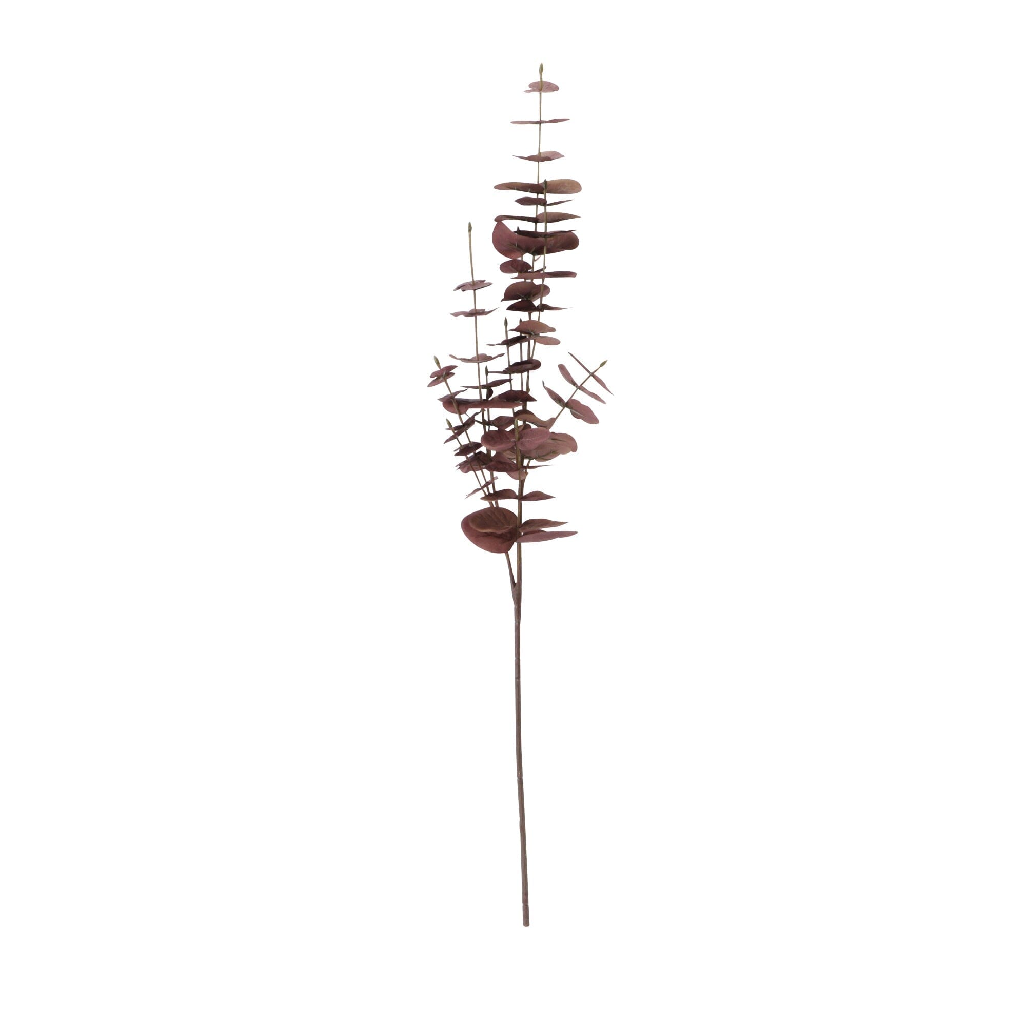 Dried Eucalyptus Stems - Natural Brown Art Flower for Home Decor, Wedding Bouquets, and Rustic Centerpieces