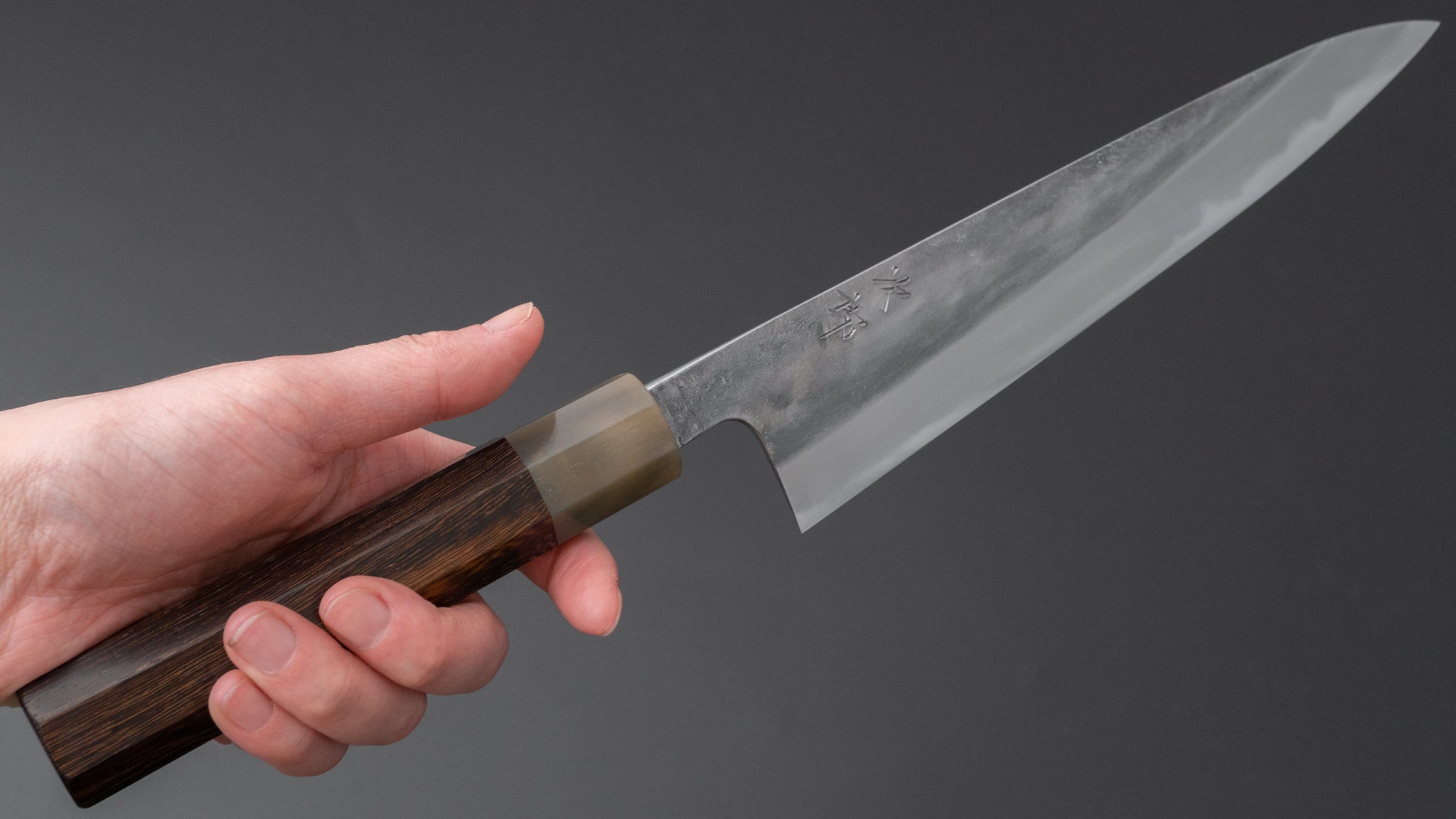 Premium Jiro Tsuchime Sujihiki 210mm Japanese Slicing Knife with Taihei Tagayasan Handle (#482) - Perfect for Sushi, Sashimi & Meat Carving