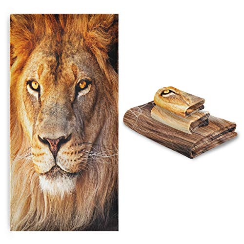 African Lion