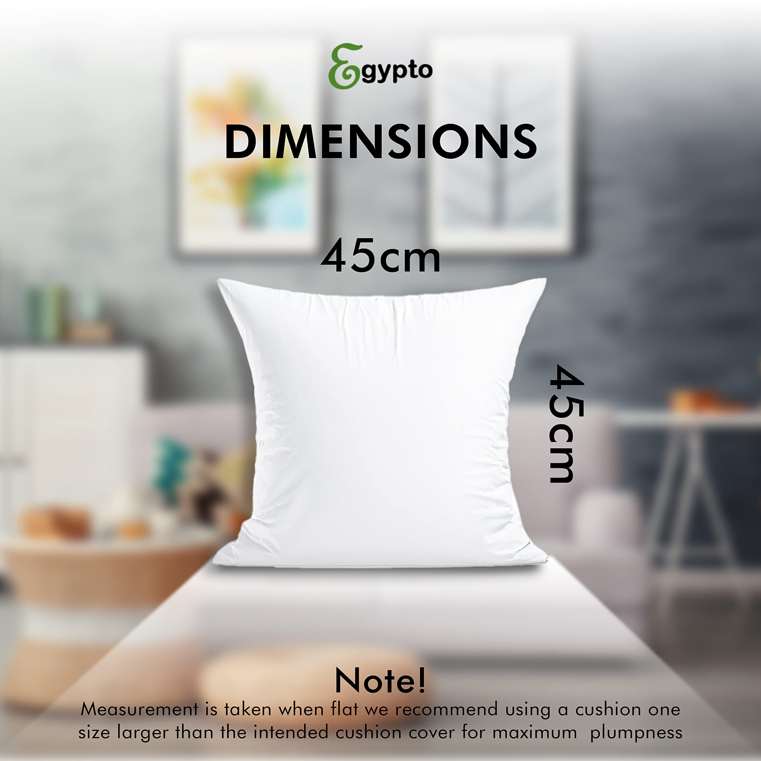 EGYPTO 4-Pack 18x18 Inch Cushion Inserts - Soft & Plump Hypoallergenic Pillow Inserts for Sofa, Couch, Bed, Chair - Perfect for Living Room, Bedroom, Office Decor (45x45 cm)