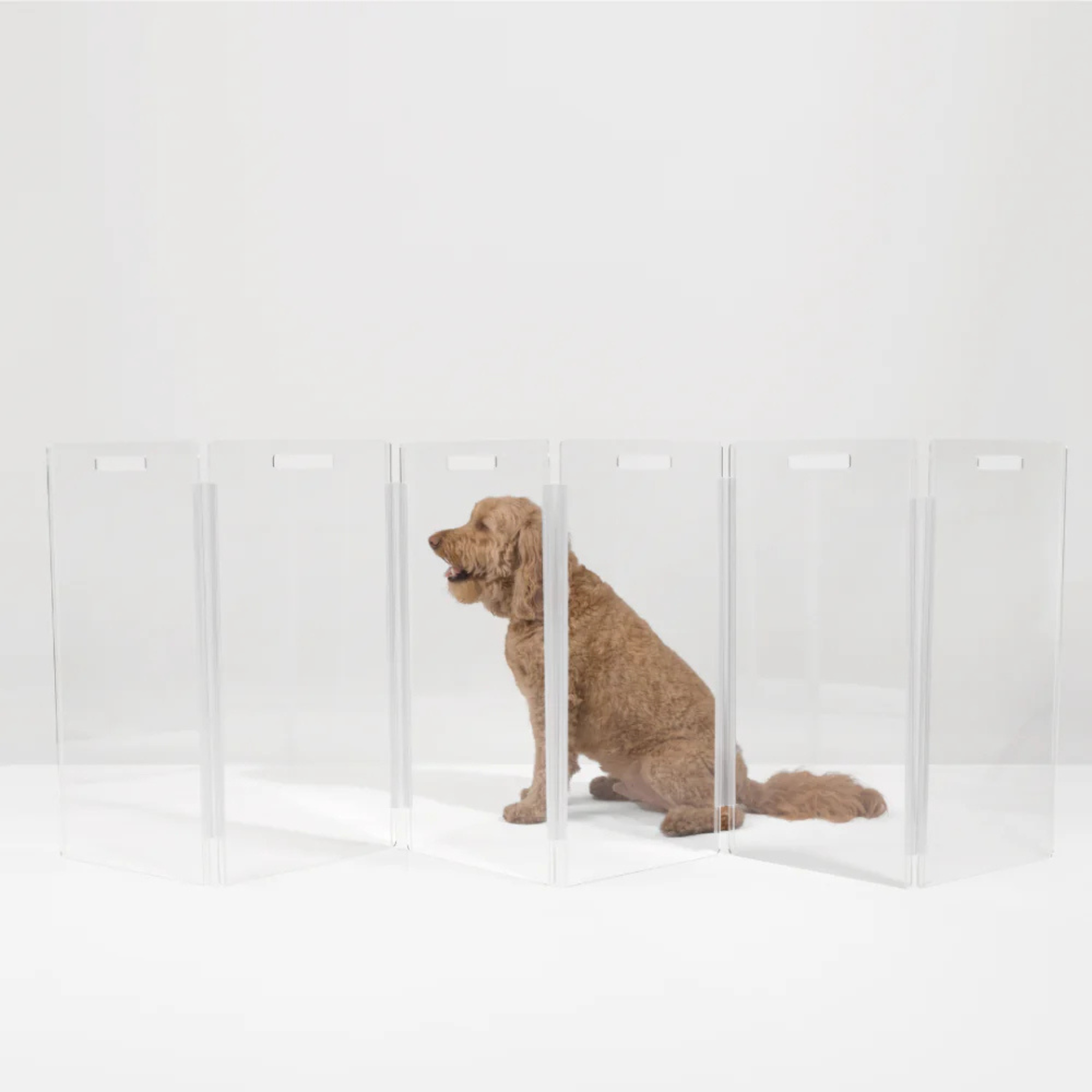 Clear Freestanding Zig Zag Panel Pet Gate - Expandable Safety Barrier for Dogs & Cats - Perfect for Doorways, Hallways & Stairs - Home & Office Use