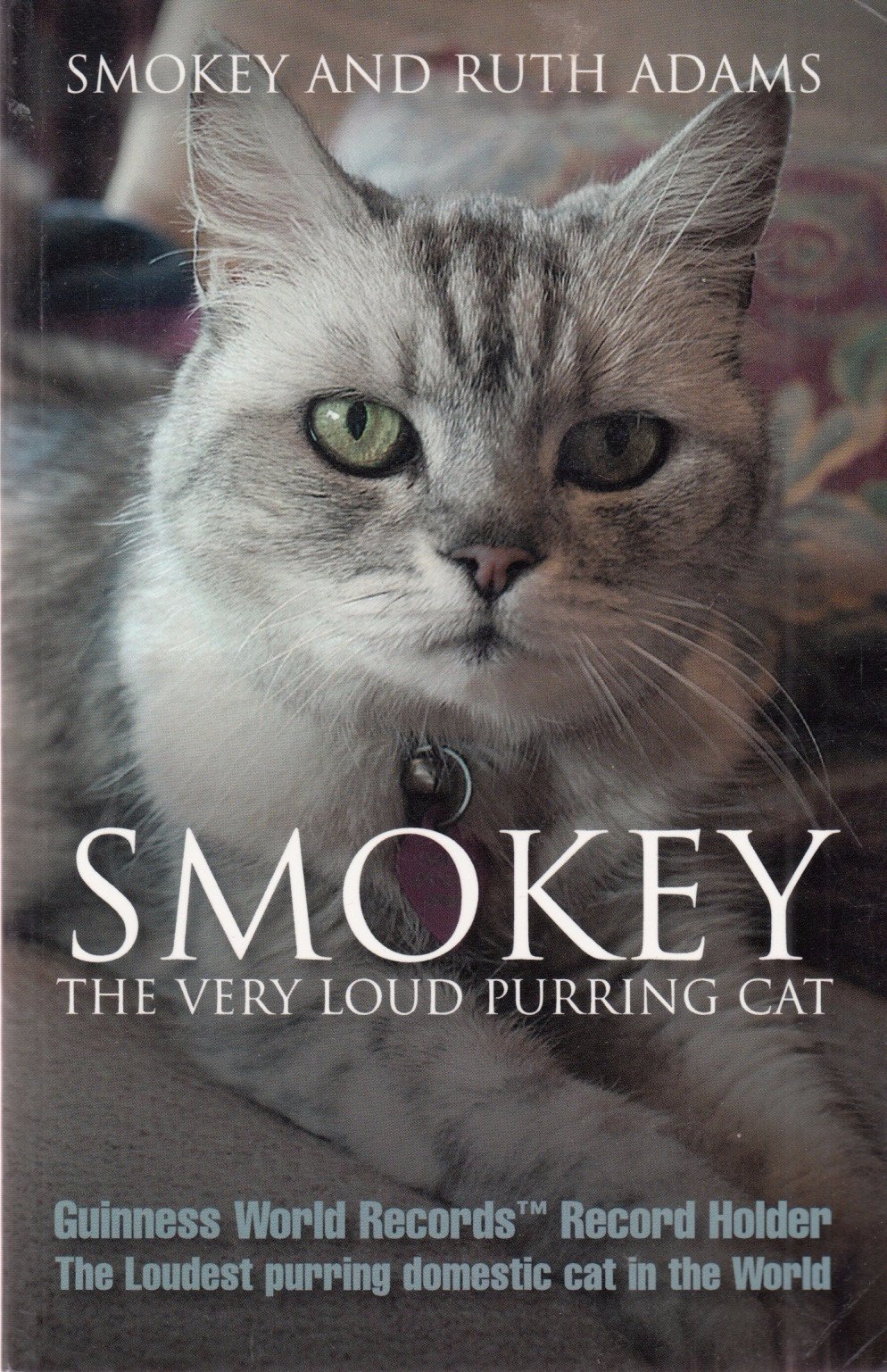 Smokey the Loud Purring Cat - Realistic Stuffed Animal Toy for Kids & Adults, Perfect for Gifts, Comfort, and Stress Relief | Great for Cuddling, Home Decor, and Emotional Support