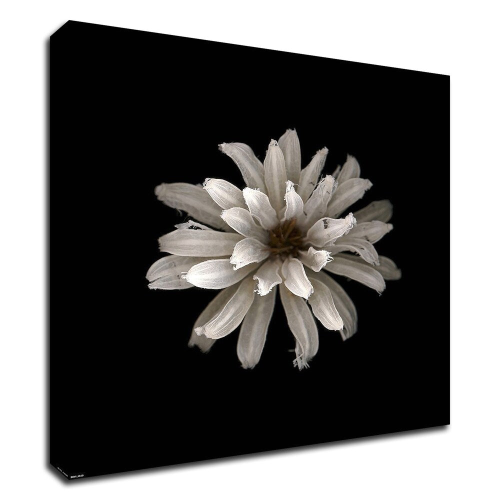 All White Canvas Wall Art - Premium Print on Canvas, Ready to Hang - Perfect for Living Room, Bedroom & Office Decor