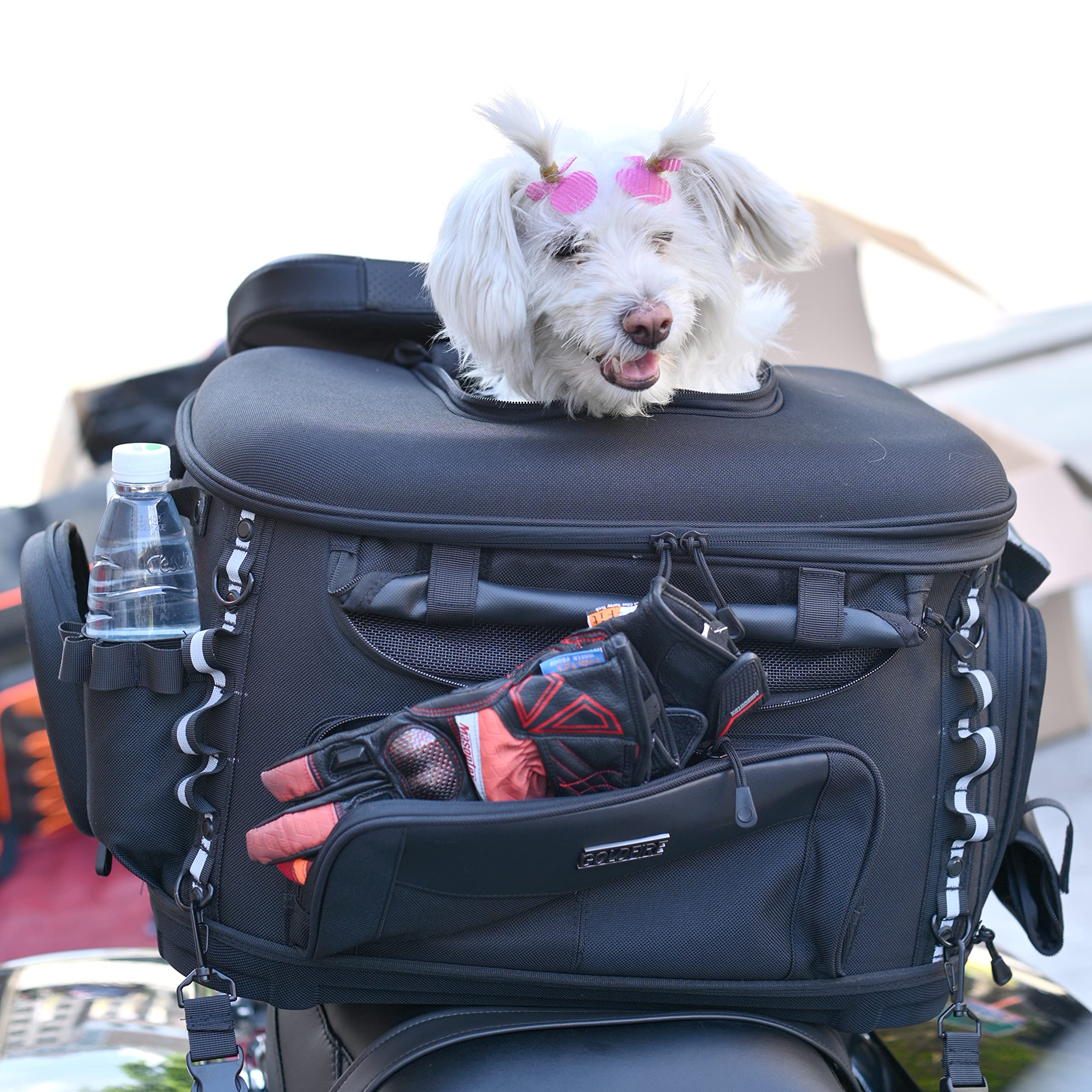 **Sresk Motorcycle Pet Carrier Bag - Durable Dog & Cat Travel Carrier for Luggage Rack or Passenger Seat with Sissy Bar Straps (Black) - Perfect for Road Trips & Outdoor Adventures**