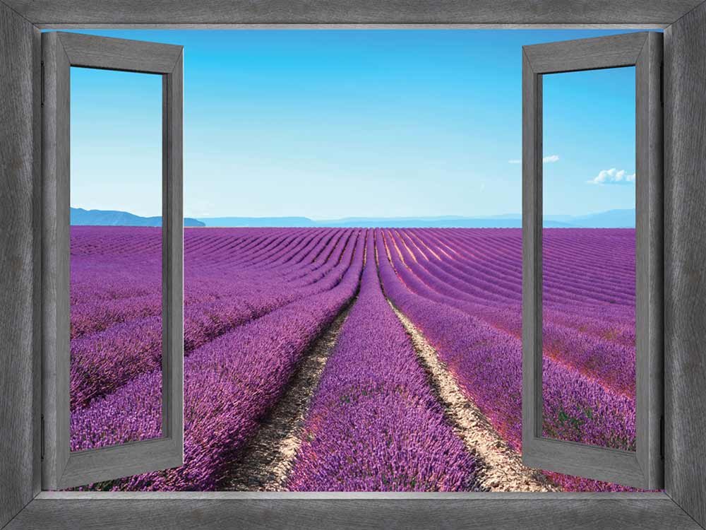Wall26 - Open Window Creative Wall Decor - Peering Out into a Field of Purple - Removable Peel and Stick Wall Mural - 24x32 Inches - Perfect for Living Room, Bedroom & Office Decor