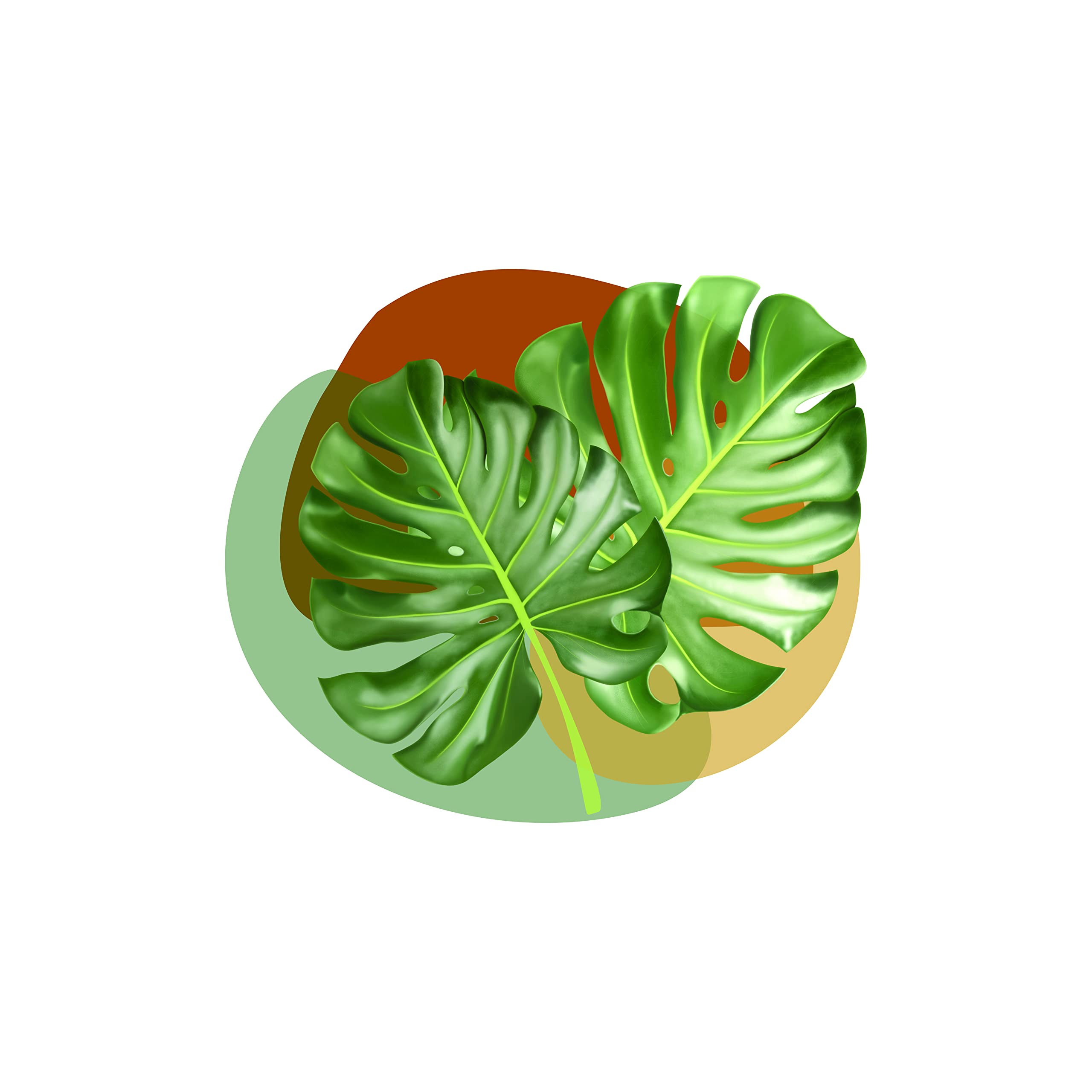 Monstera Leaf Decal Stickers - Perfect Plant Lover Gift for Home Decor, Laptops, Water Bottles & DIY Projects
