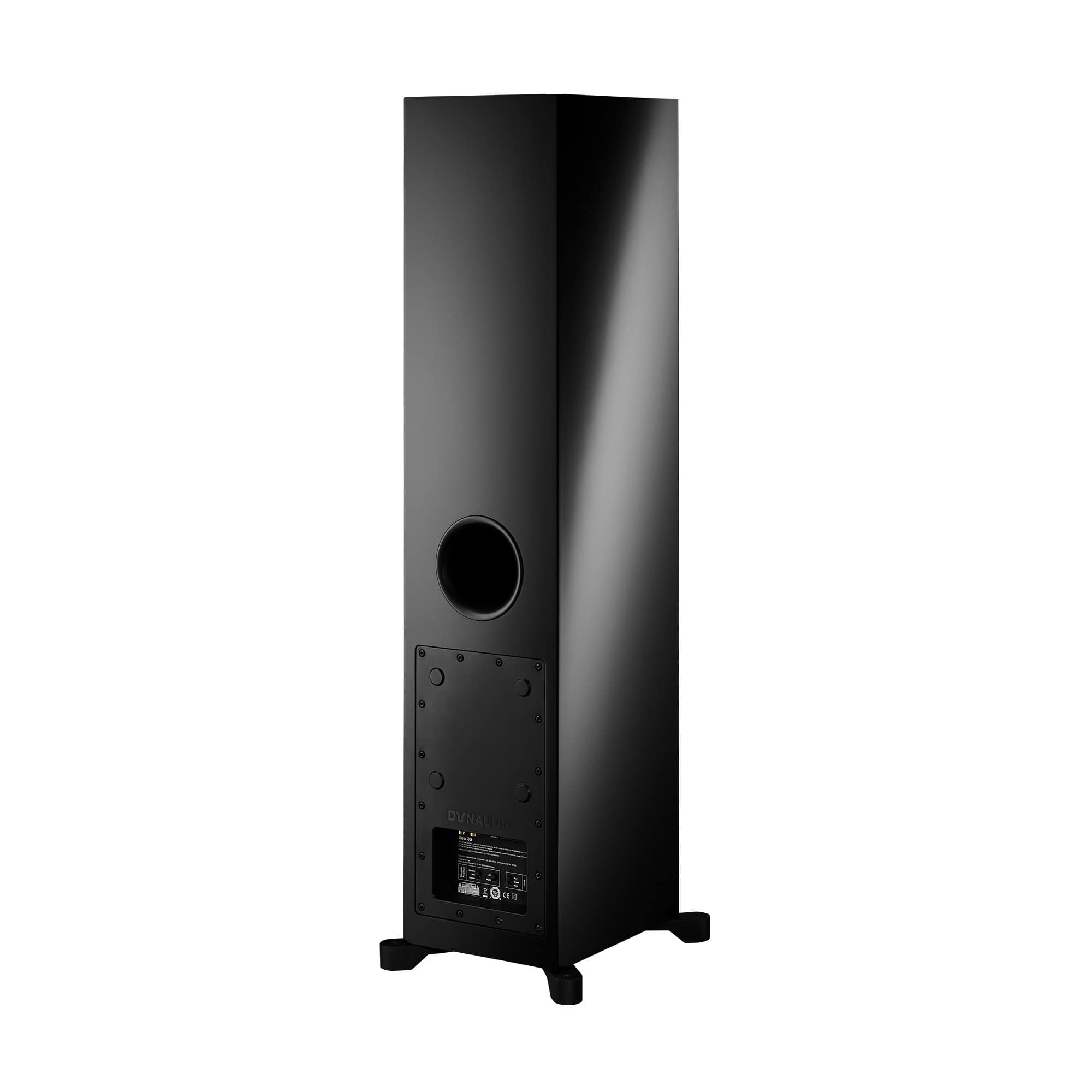 Dynaudio Xeo 30 Premium Wireless Floorstanding Speakers with Built-in Streamer | Hi-Fi Audio System for Home Theater & Music Listening