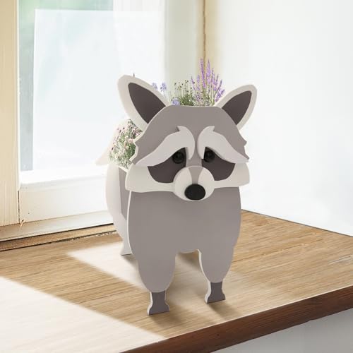 Raccoon