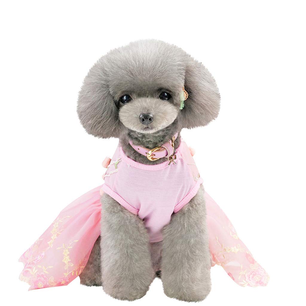 Breathable Pet Dog & Cat Lace Dress - Soft Music Print Sweater for Small Dogs (Pekingese, Chihuahua) - Perfect for Parties, Photo Shoots & Daily Walks
