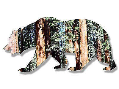 California Bear Shaped Magnetic Sticker - 2.5x5 Inch Sequoia National Park Vinyl Magnet for RV, Hiking Gear & Outdoor Adventures