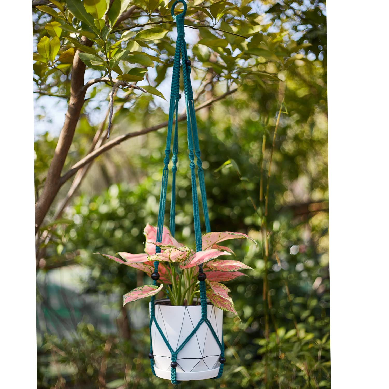 Handmade Macrame Plant Hangers for Indoor Plants - 6 Pack Boho Hanging Plant Holders with Strong Ropes, Home Wall Decor for Living Room, Bedroom, Balcony & Garden