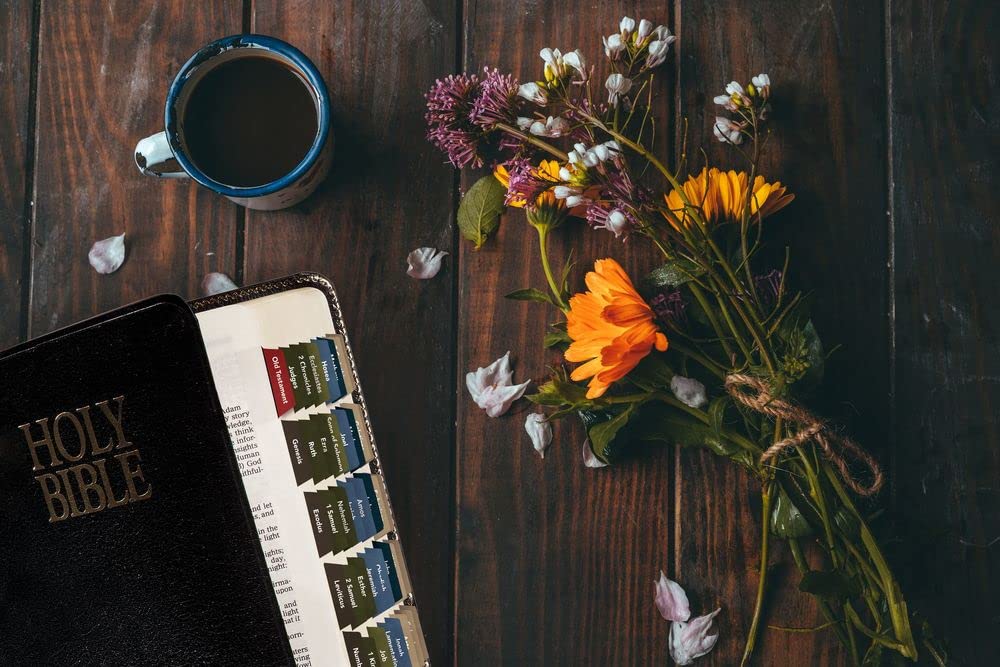 20 Pack Bible Indexing Tabs - Reflections of You Series (Coffee House & Seaside Design, 10 Each for Old & New Testaments) | Perfect for Bible Study, Scripture Organization & Gift Giving