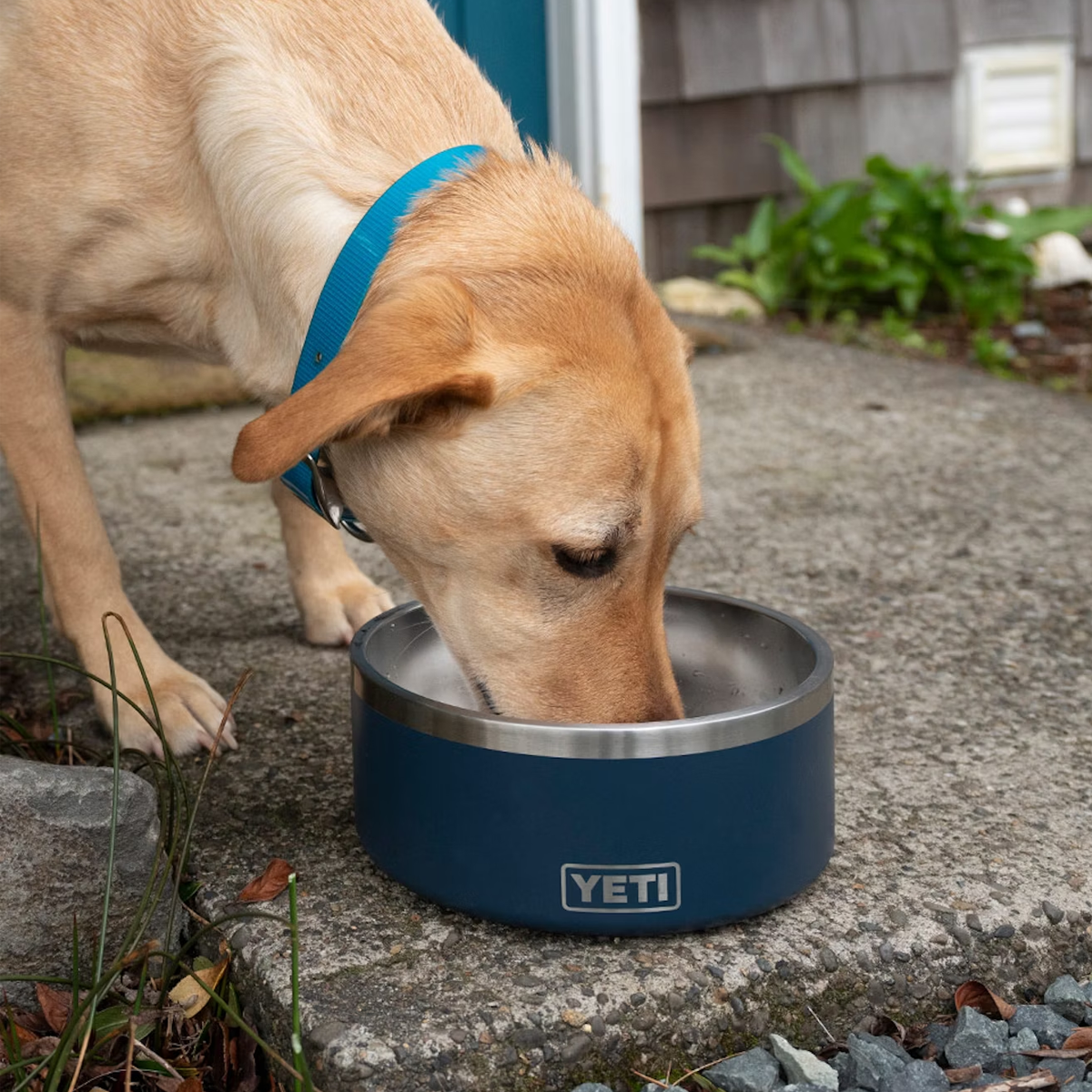 Premium Boomer 8 Dog Bowl - Non-Slip Stainless Steel Pet Food & Water Dish for Large Dogs - Perfect for Home, Outdoor, Travel & Training Use
