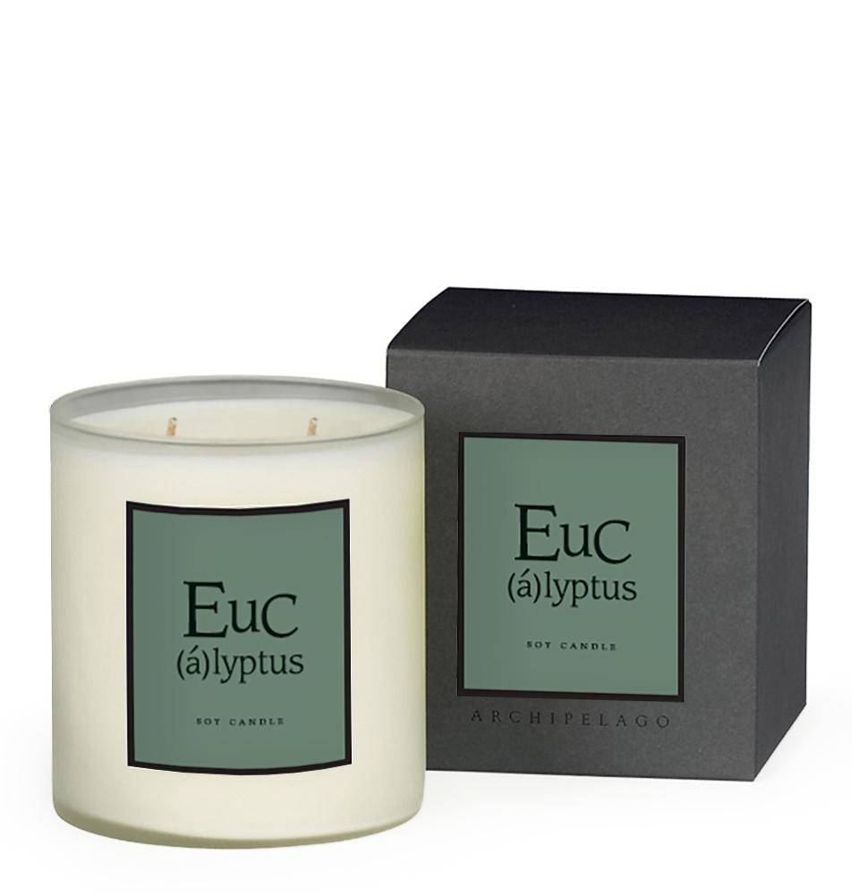 Eucalyptus Scented Soy Wax Candle in Gift Box - Aromatherapy for Relaxation & Stress Relief - Perfect for Home, Office, Spa & Yoga Studio