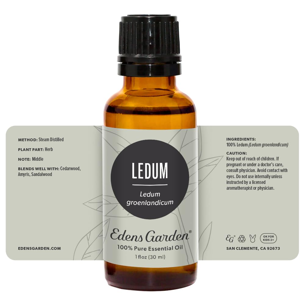 Edens Garden Ledum Essential Oil - 100% Pure Undiluted Therapeutic Grade for Aromatherapy, Diffusers, Skin & Hair Care, Humidifiers - 30ml (1 fl oz) | Natural Relaxation & Wellness Solution for Home Spa, Massage & Stress Relief