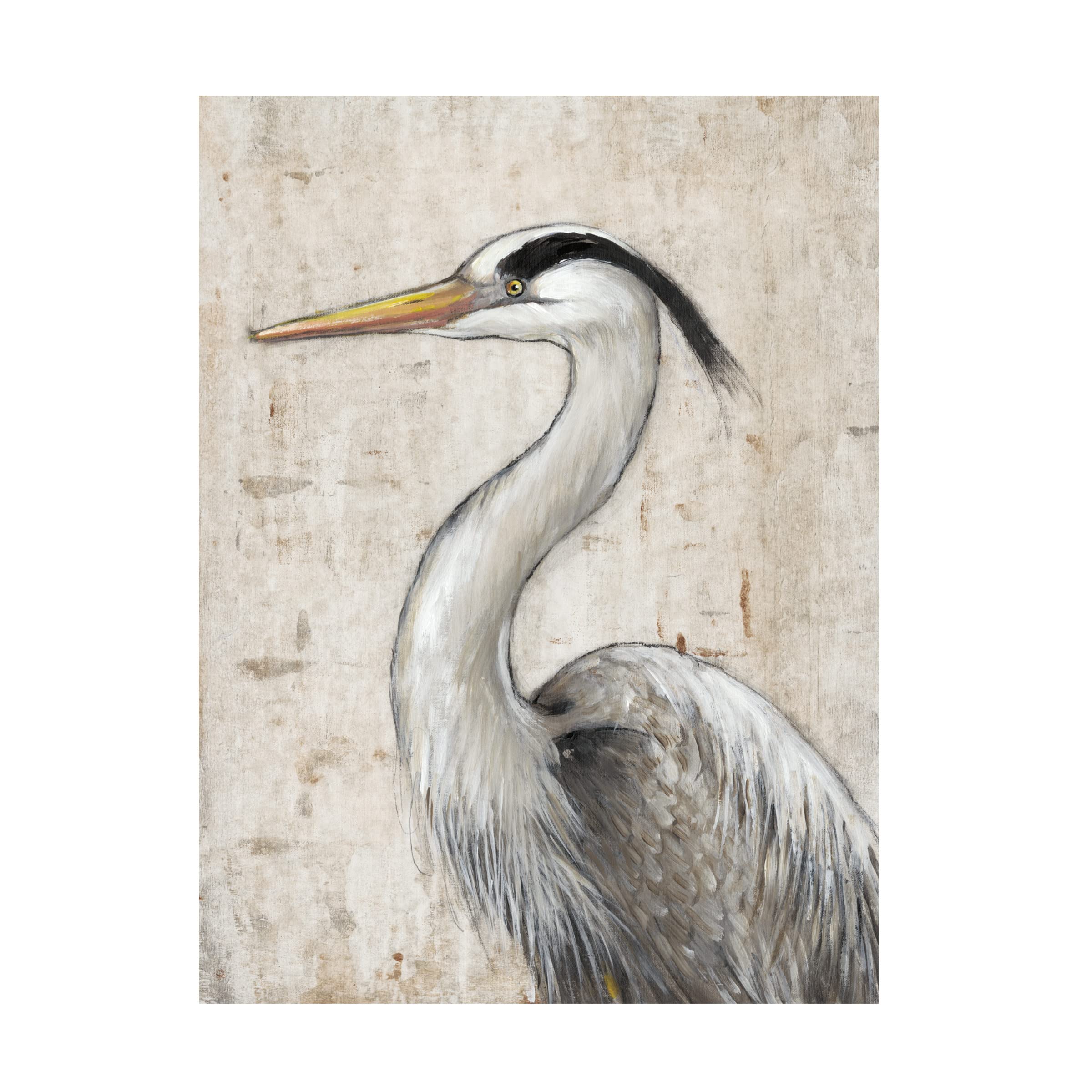 Trademark Fine Art 'Grey Heron II' Canvas Wall Art by Tim O'Toole - Elegant Nature Painting for Living Room, Bedroom & Office Decor