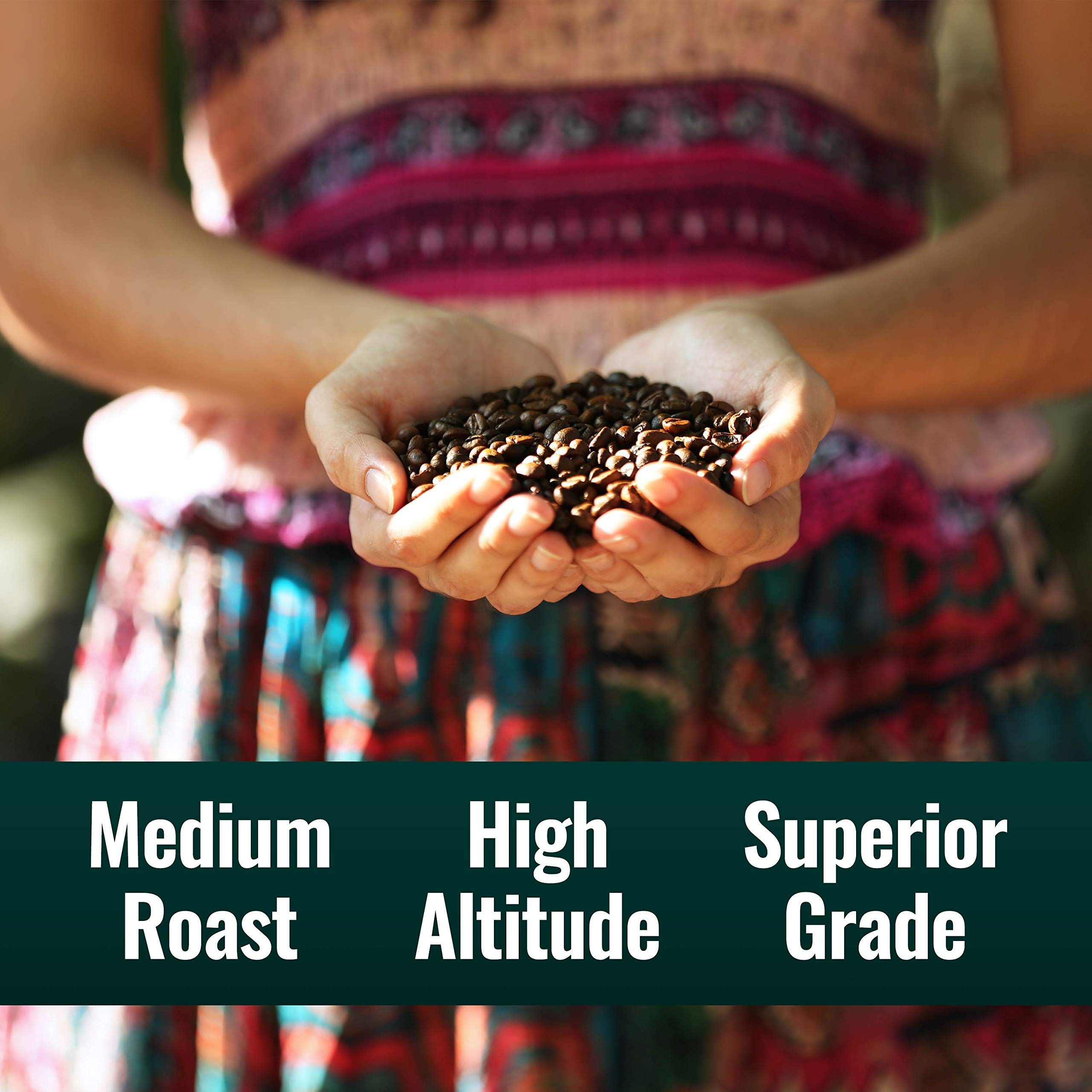 Natural Force Clean Decaf Coffee with Organic Pure C8 MCT Oil Bundle – 100% C8 MCTs, Mold & Mycotoxin Free, Non-GMO, Keto, Paleo, Vegan – 12 Oz & 32 Oz – Perfect for Morning Energy Boost & Keto Diet Support