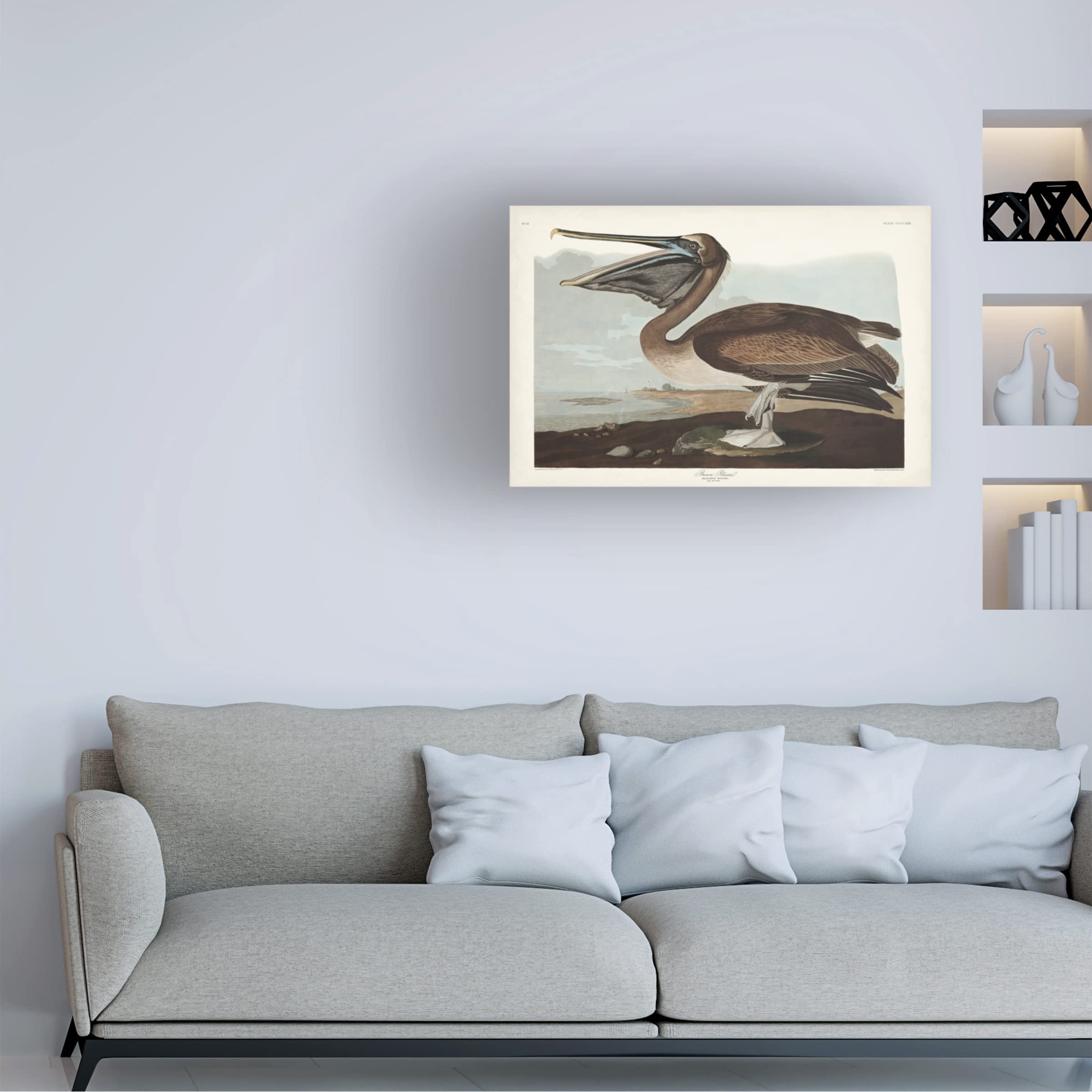 John James Audubon Brown Pelican Canvas Art Print 12x19 - Wildlife Bird Wall Decor for Living Room, Office & Coastal Home Decor