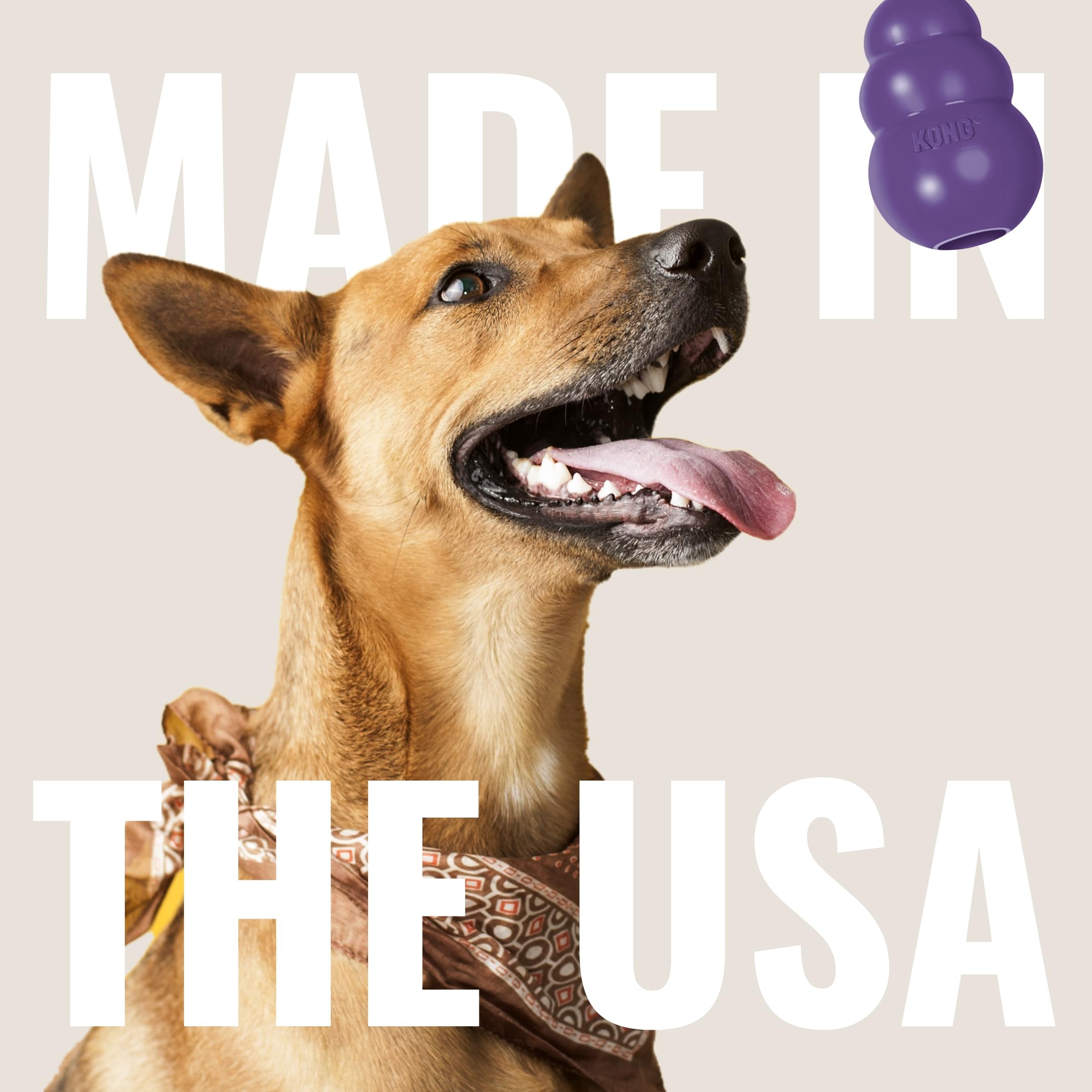 KONG Senior Dog Toy - Durable Natural Rubber Chew Toy for Older & Large Dogs - Treat Dispensing & Stuffable for Chewing, Fetching - Perfect for Senior Dog Playtime & Dental Health