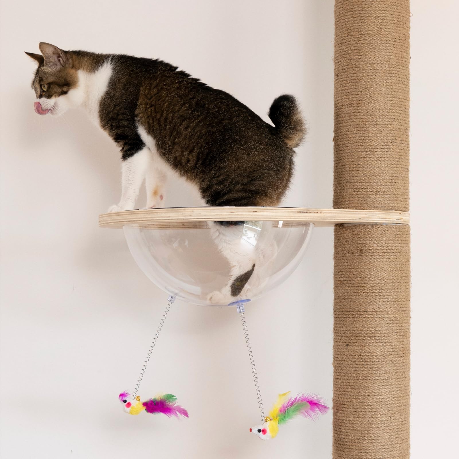 Adjustable 5-Tier Floor to Ceiling Cat Tree (50-120 inches) - Sturdy Hemp Scratching Post for Indoor & Outdoor Use - Perfect for Small Spaces & Multi-Cat Homes