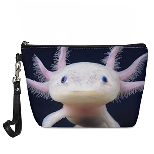 Salamander