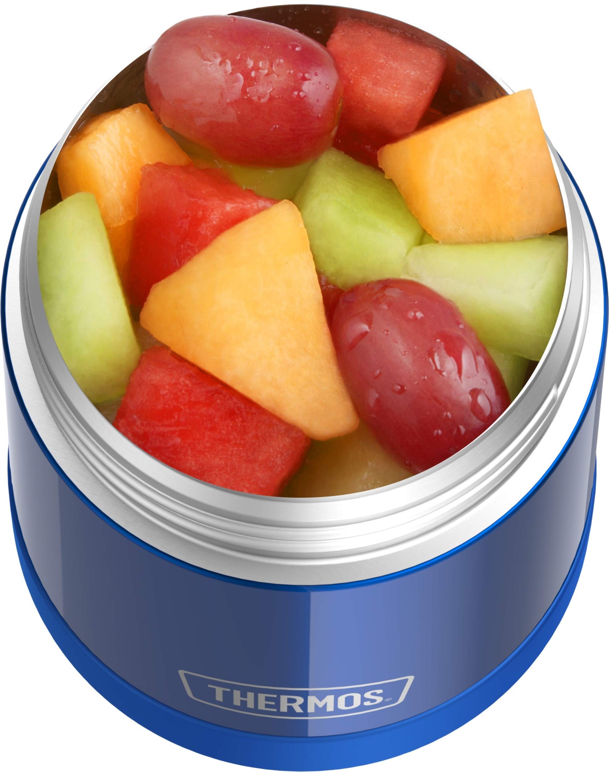Thermos Funtainer 10oz Stainless Steel Vacuum Insulated Kids Food Jar - Leak Proof Lunch Container for School, Picnics & Travel - Blue