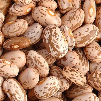 Organic Pinto Beans - 2 lb Dried Beans for Cooking, Soups, Chili & Healthy Meals | Non-GMO, Gluten-Free Pantry Essential