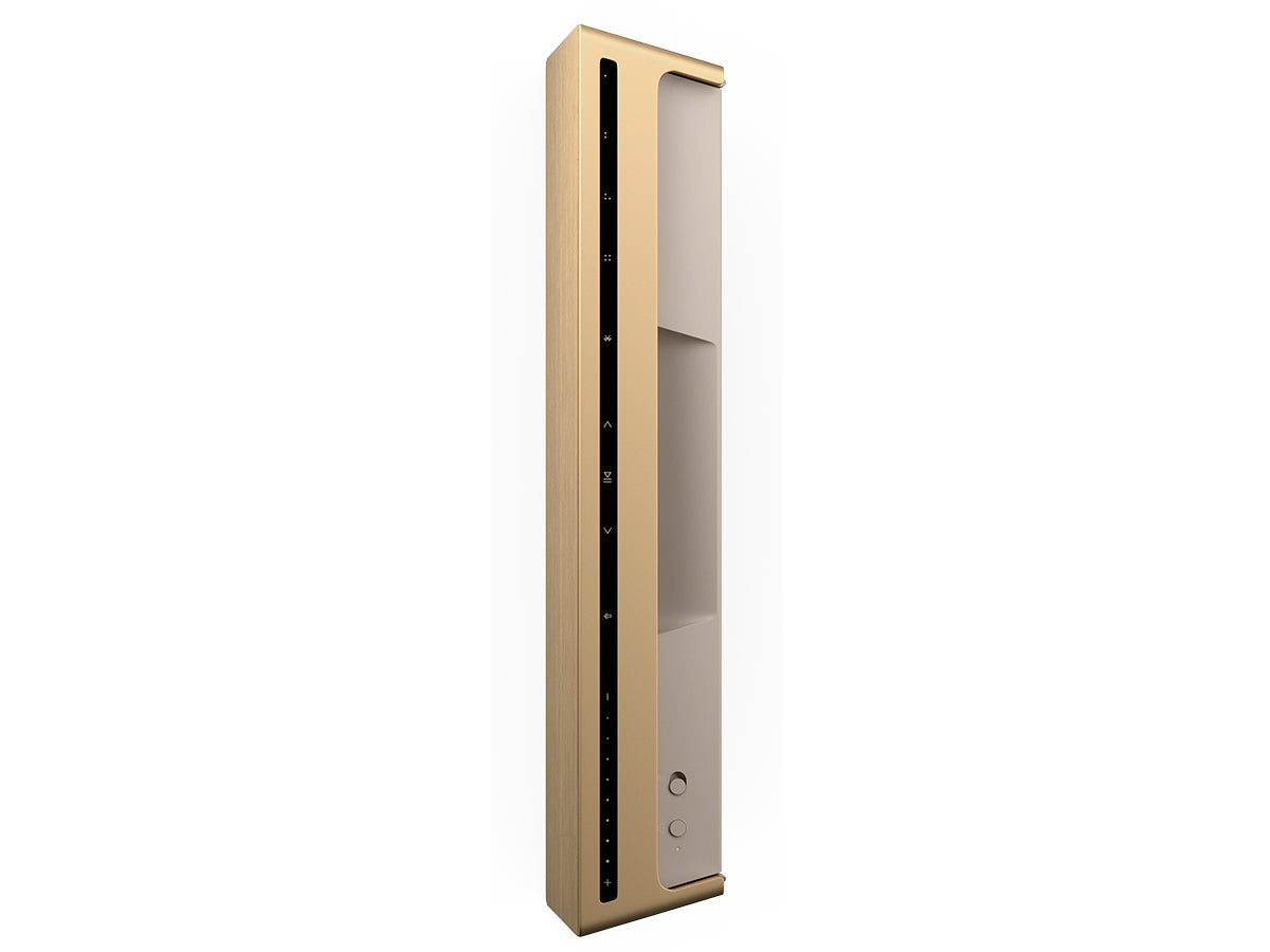 Bang & Olufsen BeoSound Level Wireless Speaker with Google Assistant - Premium Bluetooth Speaker for Home, Office & Outdoor Use