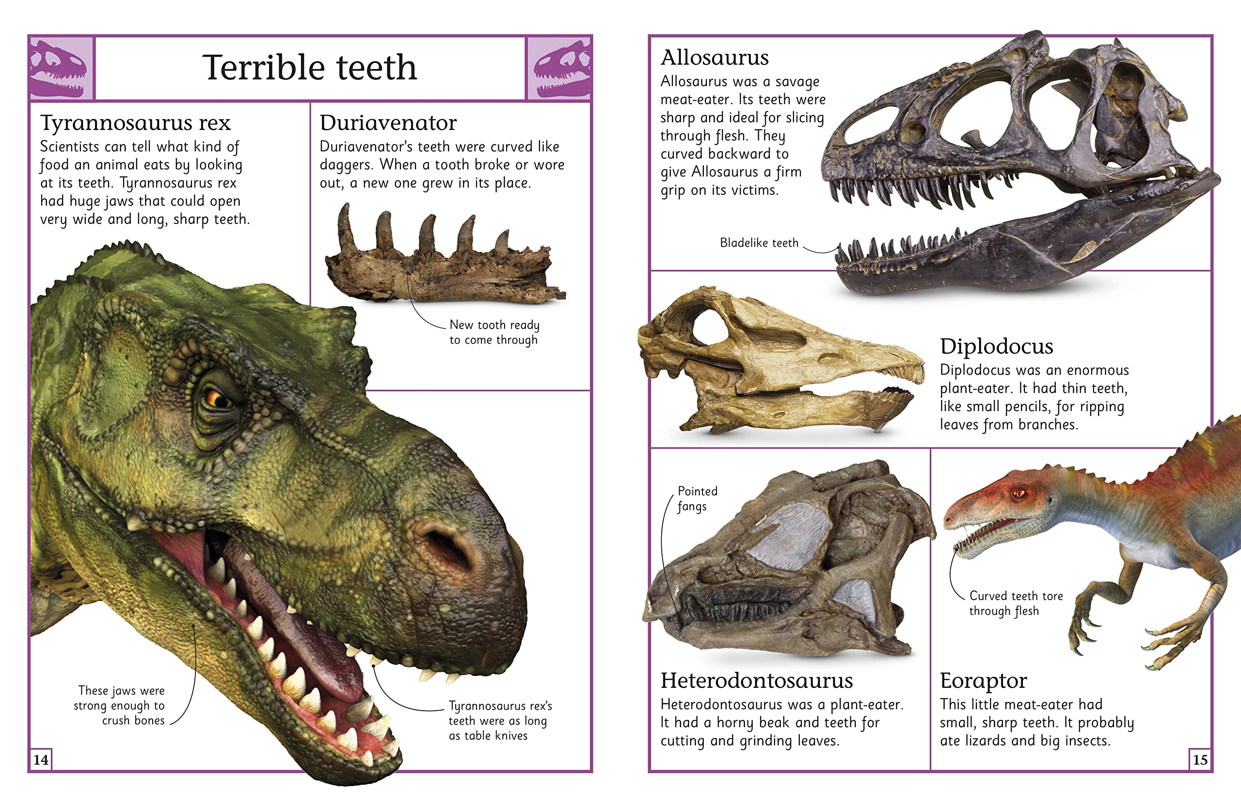 **The Big Book of Dinosaurs – DK Big Books | Kids Educational Dinosaur Encyclopedia | Perfect for Learning, Gifts & Classroom Activities**
