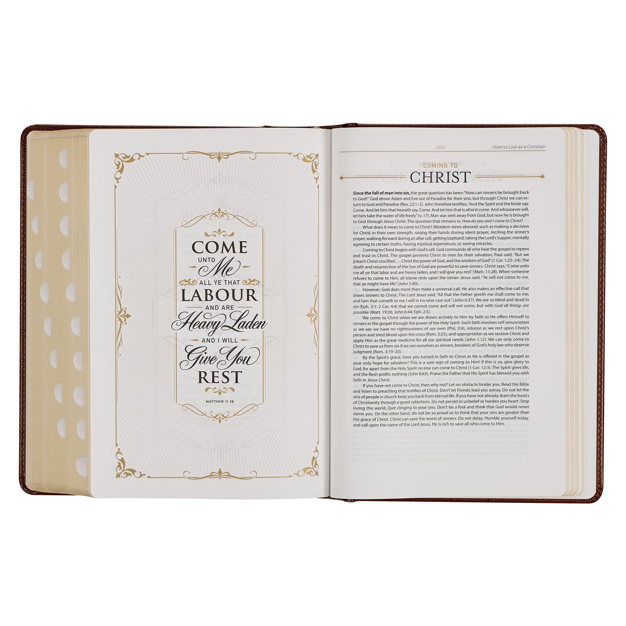 KJV Study Bible, Standard Print Faux Leather Hardcover with Thumb Index - King James Version Holy Bible in Toffee/Burgundy for Personal Devotion, Bible Study Groups & Church Services