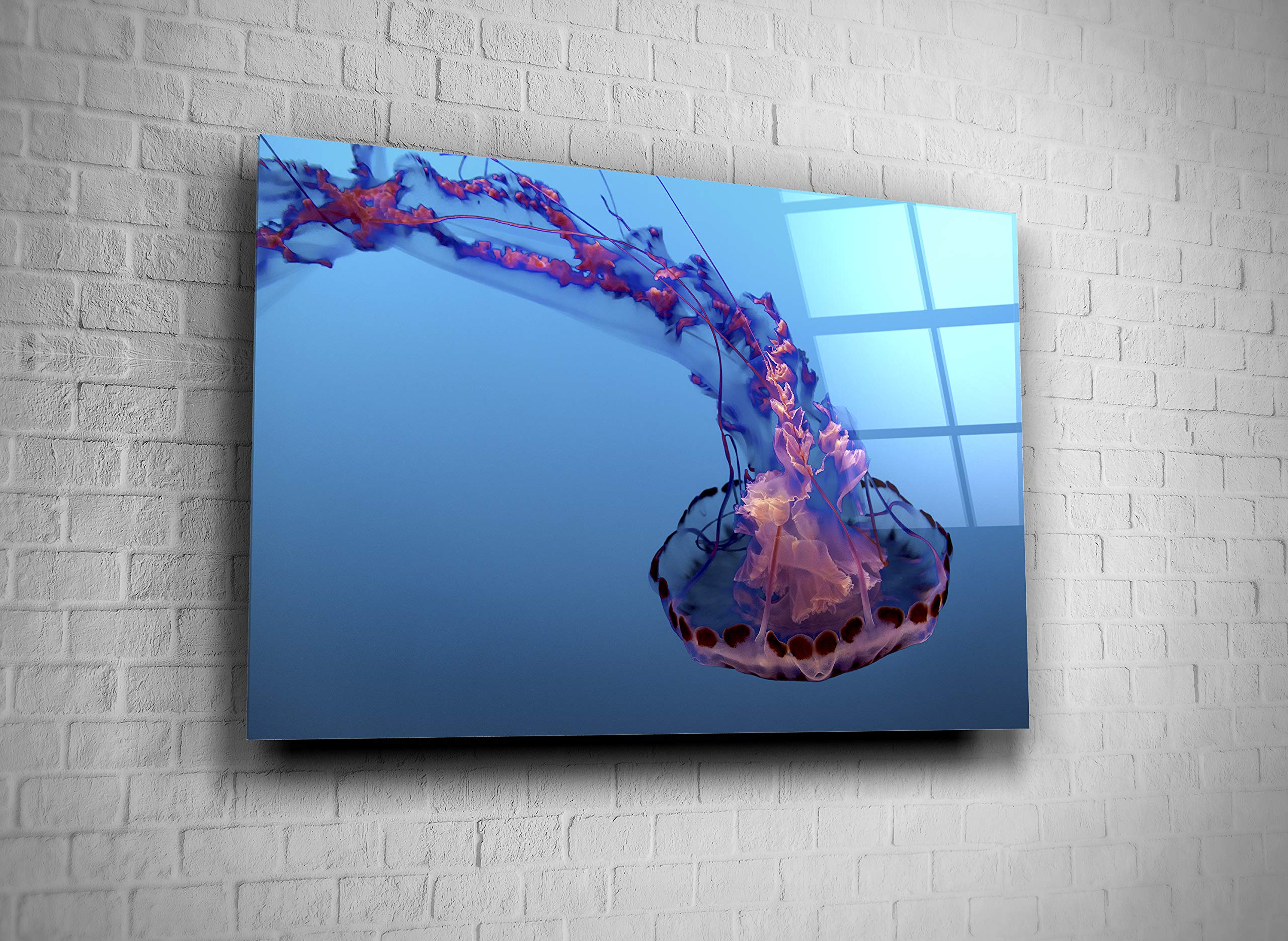 Jellyfish Sea Jelly Ocean Medusa Tempered Glass Wall Art - Modern Home Office & Hotel Decor - Unique Gift Idea (16x24) - Perfect for Living Room, Bedroom or Office Spaces