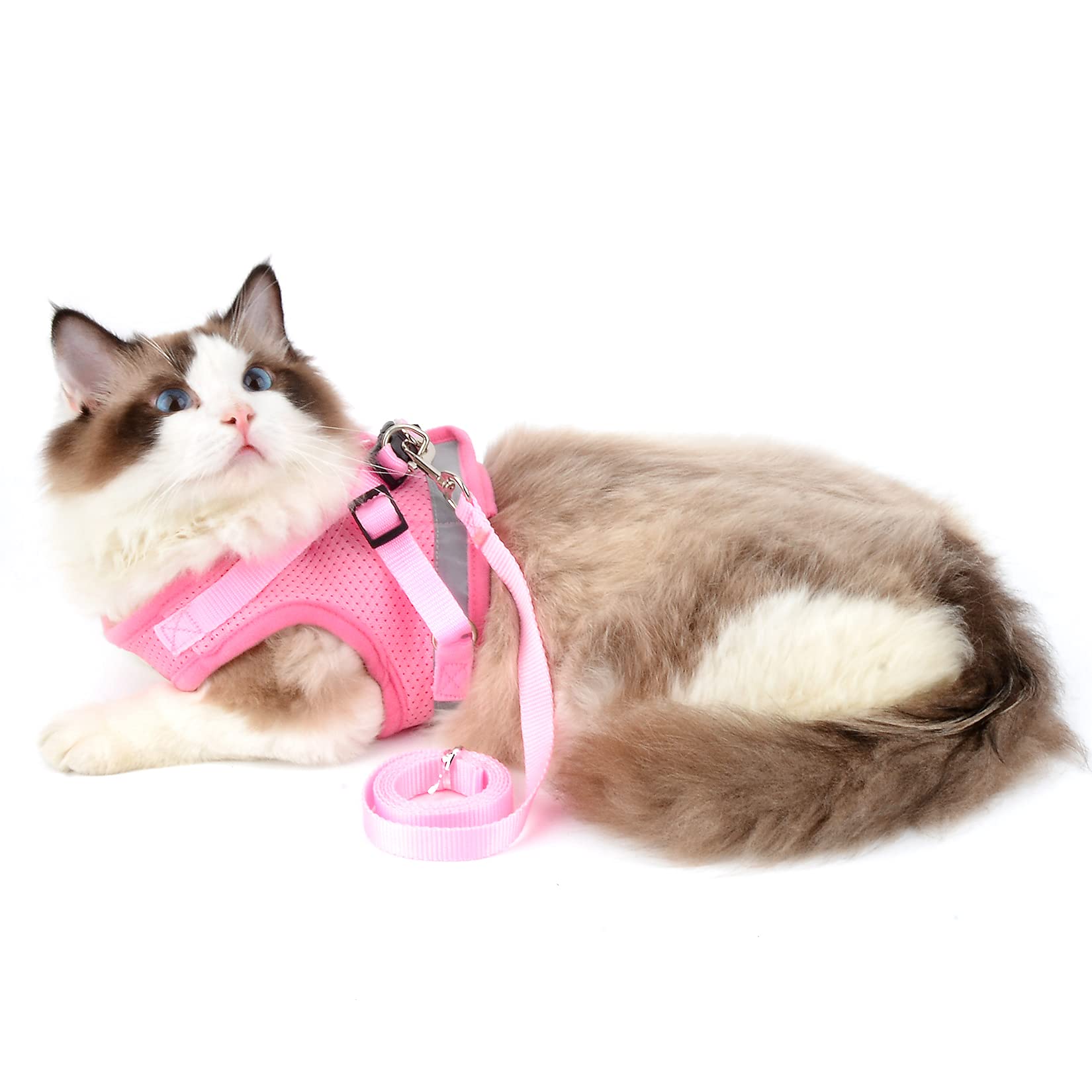 SMALLLEE LUCKY STORE Escape Proof Cat Harness and Leash Set - Adjustable Soft Mesh Vest with Reflective Strips for Small Dogs & Kittens (Pink, Size M) | Perfect for Safe Outdoor Walks, Park Visits & Training Sessions
