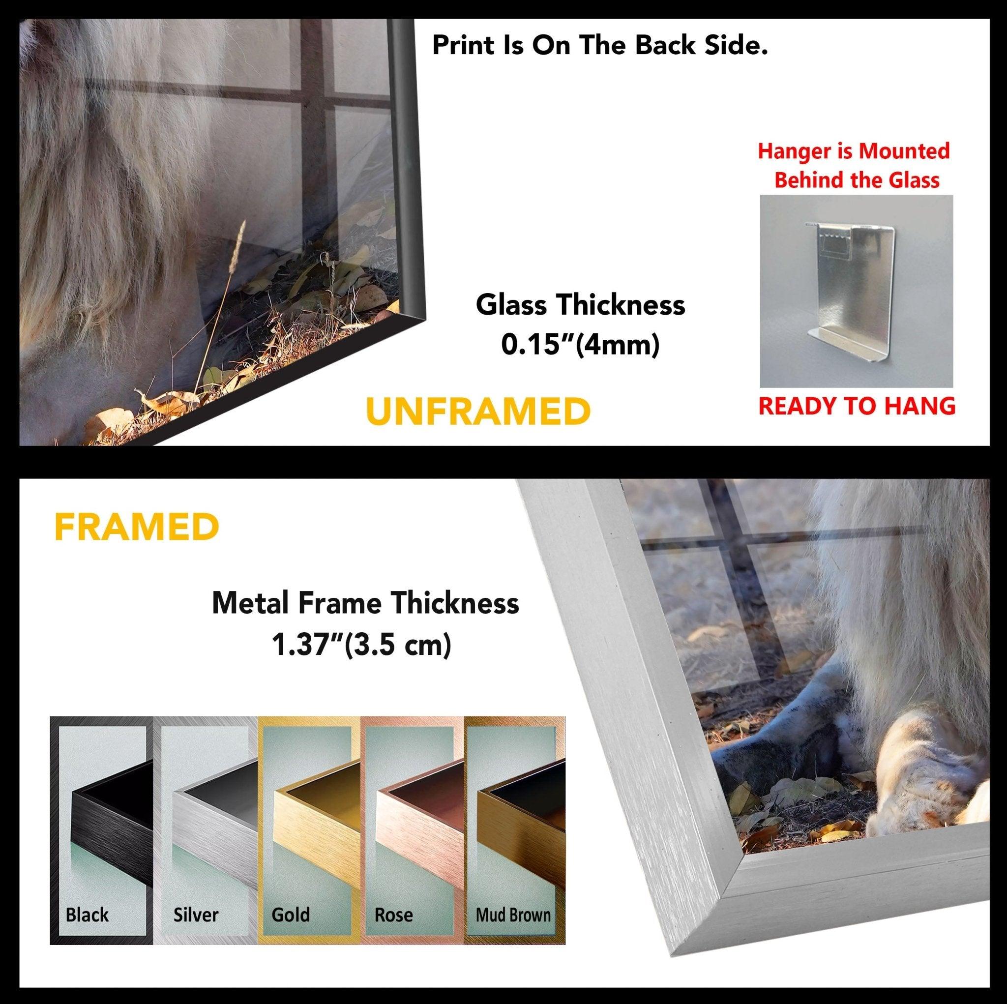 Barbary Lion Glass Wall Art - Handcrafted Modern Home Decor for Living Room, Bedroom & Office - Stunning Wildlife Animal Artwork for Wall Display