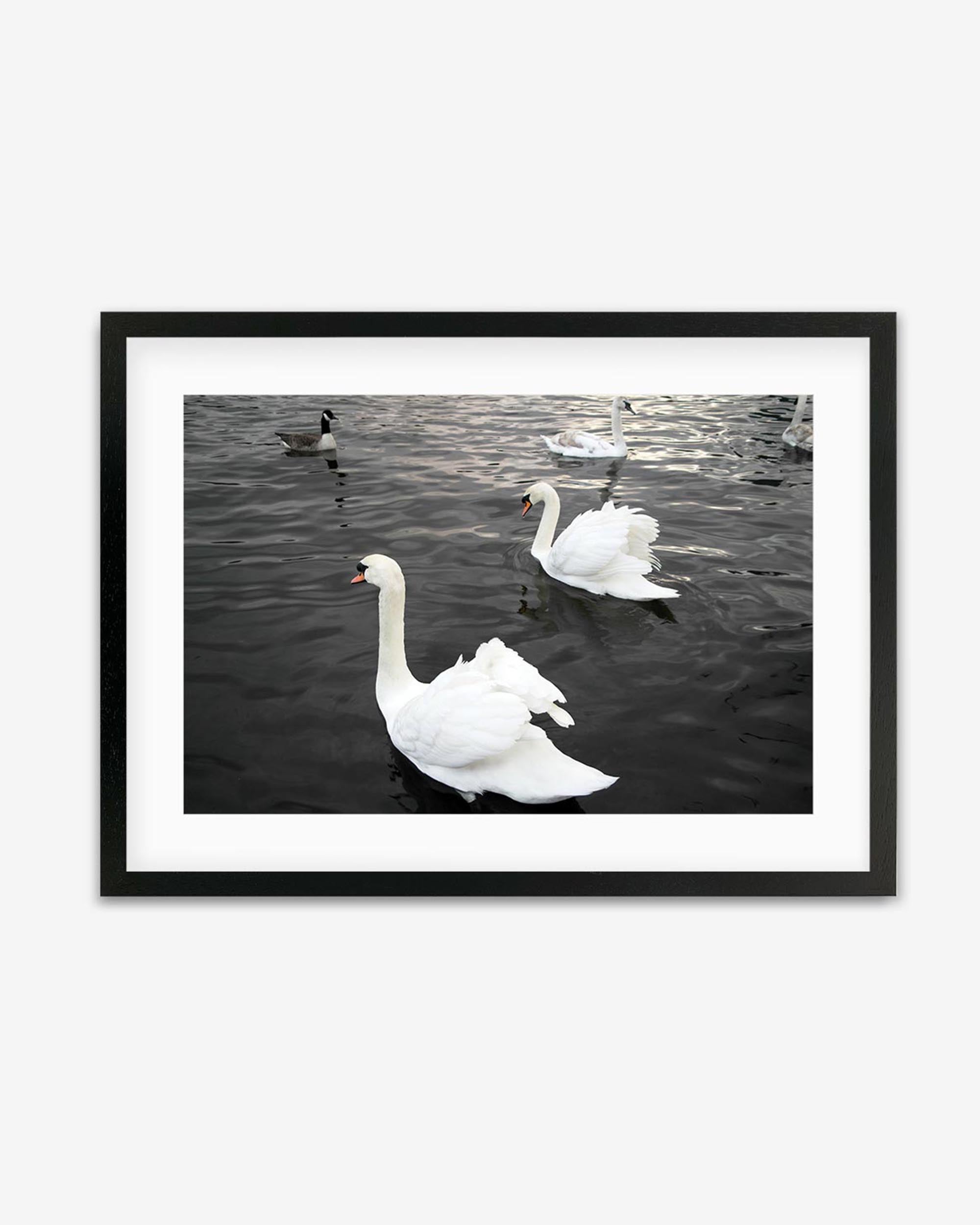 Swan Lake Ballet Framed Wall Art - Elegant Ballet Dancer Painting for Living Room, Bedroom & Office Decor