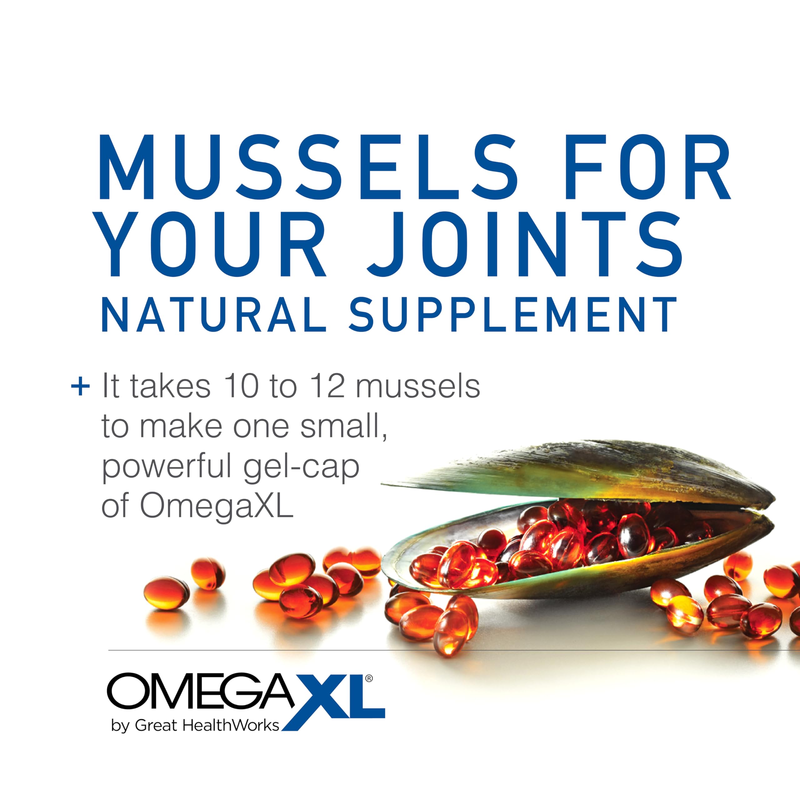 OmegaXL Joint Support Supplement - Natural Muscle & Joint Relief with Green Lipped Mussel Oil, 120 Soft Gel Capsules (2 Pack of 60) | Drug-Free Pain Management for Active Lifestyles, Arthritis & Post-Workout Recovery