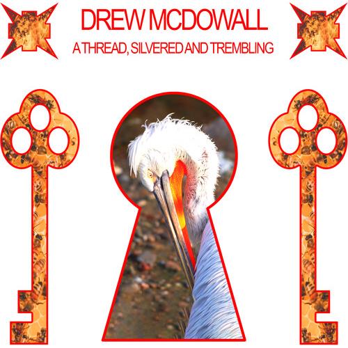 Thread, Silvered and Trembling Vinyl LP (Red) - Limited Edition Red Vinyl Record for Music Collectors & Audiophiles - Perfect for Home Listening & Gift Giving
