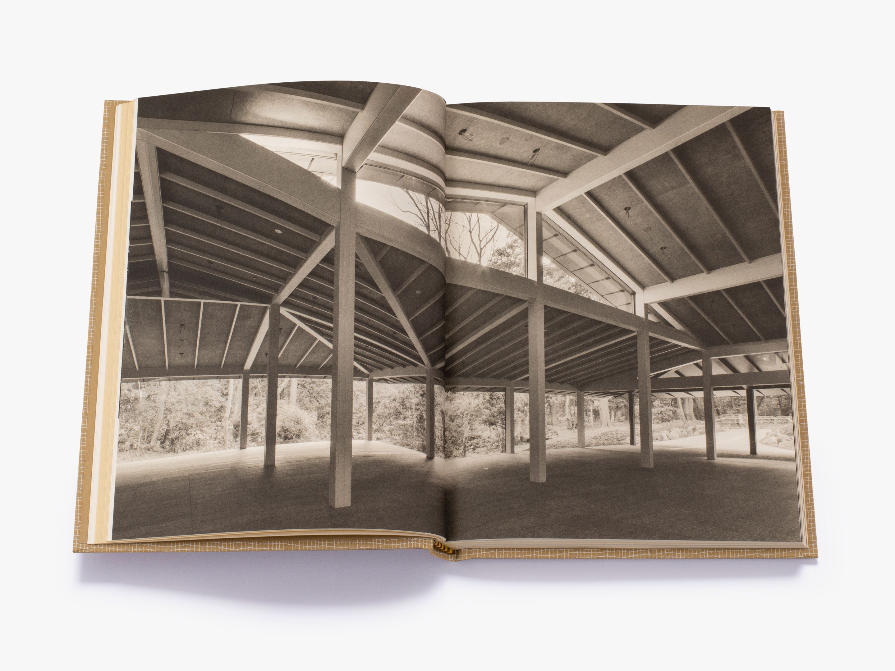 Kengo Kuma: My Life as an Architect in Tokyo - Memoir of Japanese Architecture & Urban Design - Perfect for Architecture Students, Tokyo Travelers & Design Enthusiasts