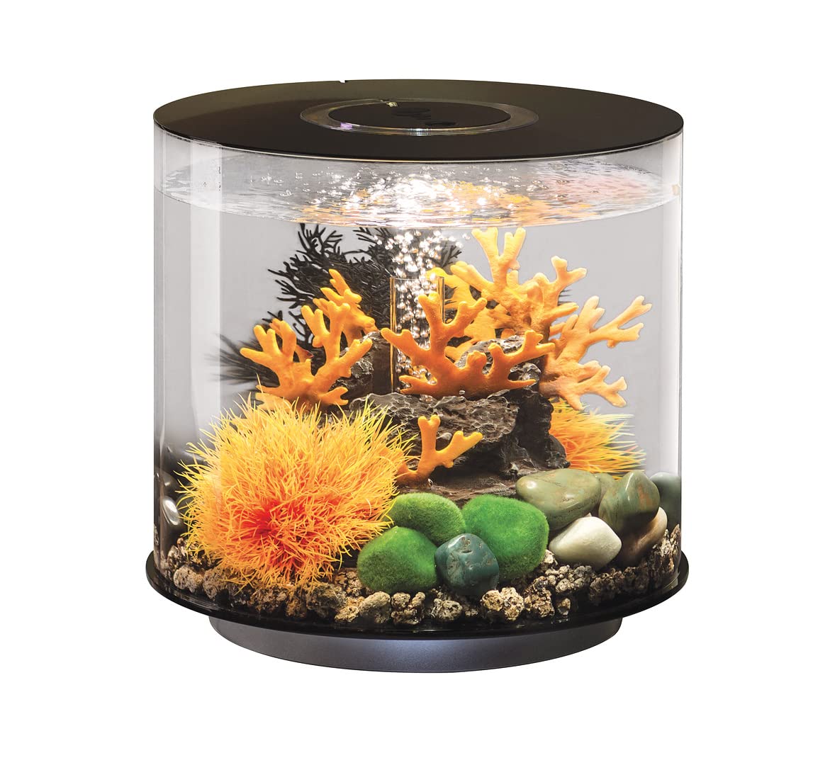 biOrb Tube 15 Acrylic 4-Gallon Aquarium with Remote-Controlled Multi-Color LED Lights - Modern Compact Fish Tank for Tabletop, Desktop, Office or Home Decor - Perfect for Betta Fish, Small Aquatic Pets & Relaxation