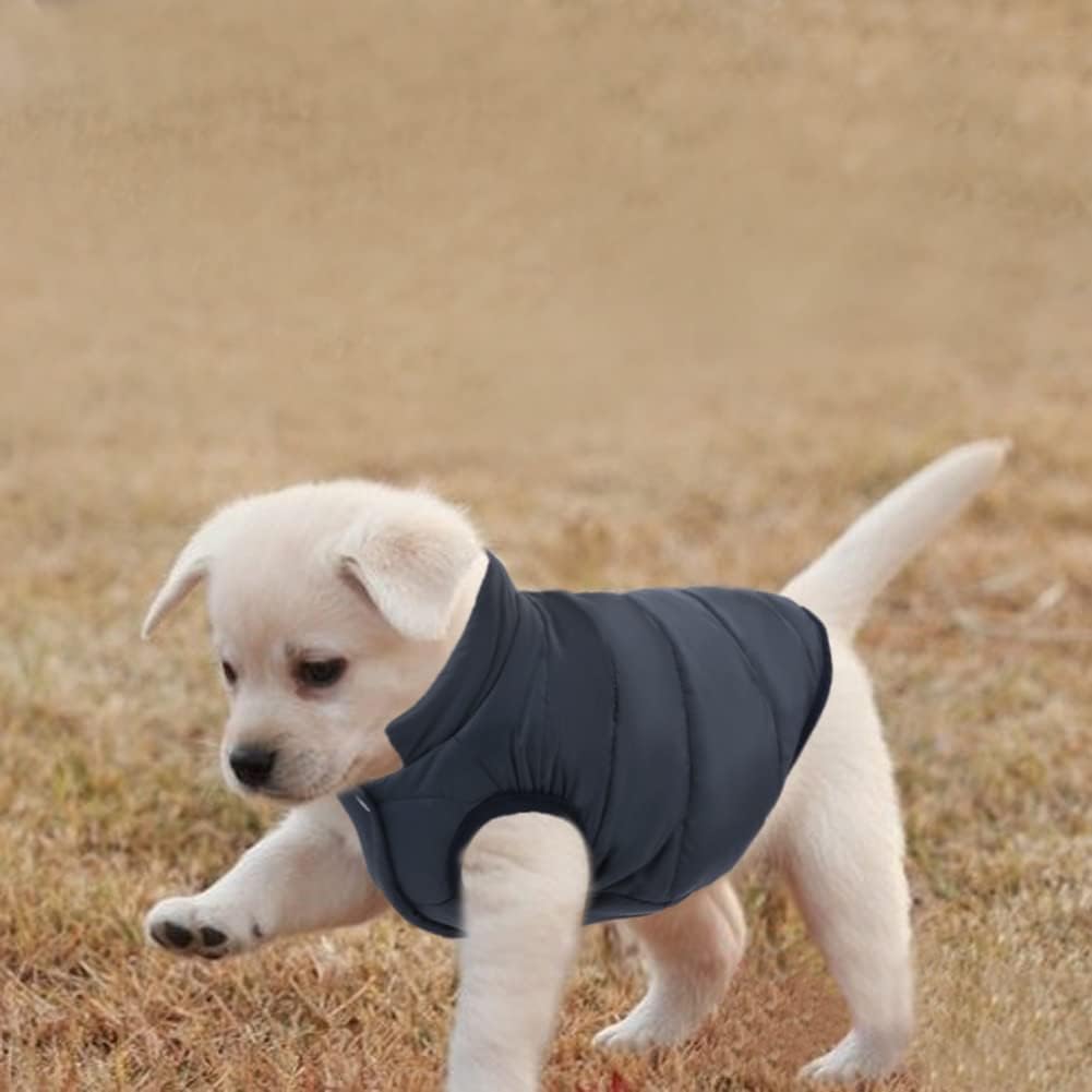 ASENKU Windproof & Waterproof Winter Dog Jacket - Fleece Lined Warm Dog Coat for Cold Weather - Small Medium Large XL Dog Vest - Blue - Perfect for Outdoor Walks & Winter Adventures