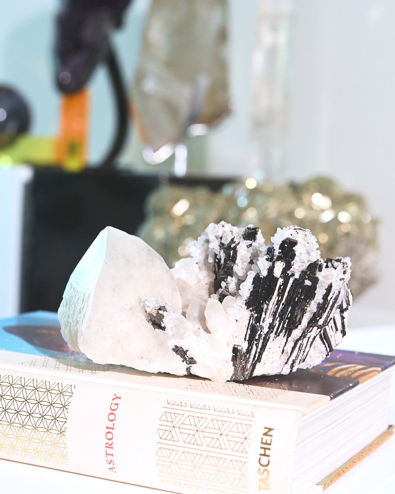 Natural Hubnerite with Quartz Crystal Cluster - 6 Inch Mineral Specimen for Collectors, Healing & Home Decor