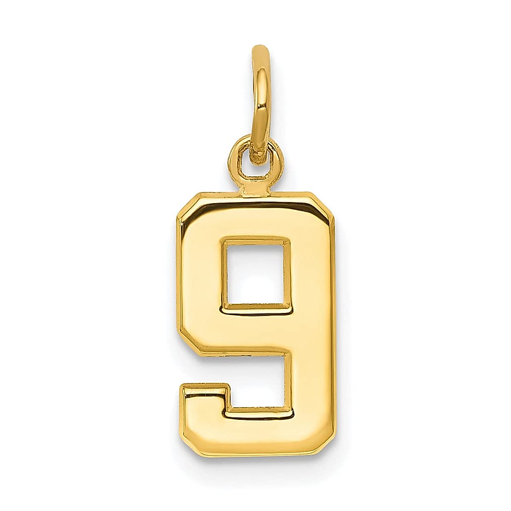 14K Yellow Gold Small Number 9 Charm Pendant Necklace - Dainty Fine Jewelry for Women | Birthday Gift for Her, Graduation Present, Mother's Day Jewelry | Perfect for Everyday Wear & Special Occasions