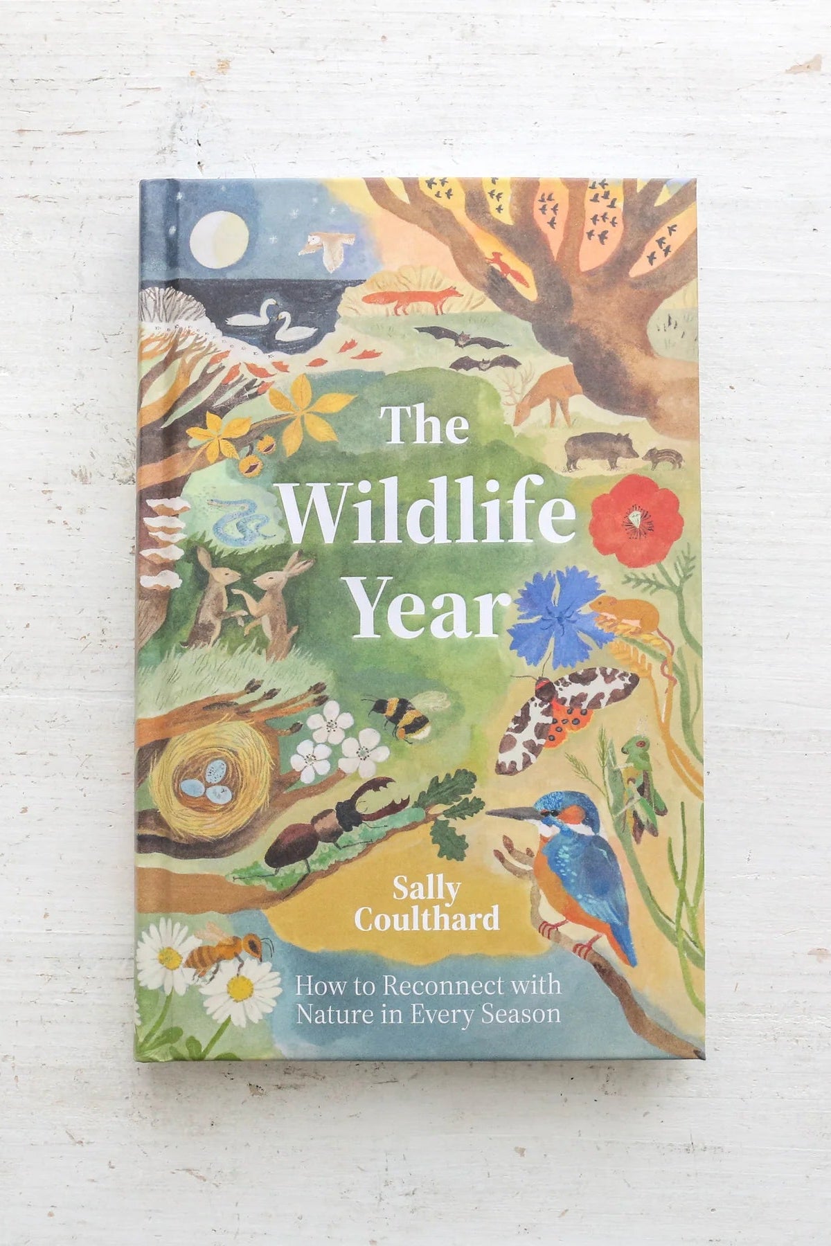 Wildlife Year: How to Reconnect with Nature Through the Seasons | Outdoor Adventure Guide & Seasonal Nature Activities for Families