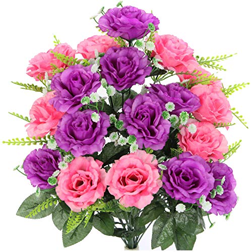 Violet-pink