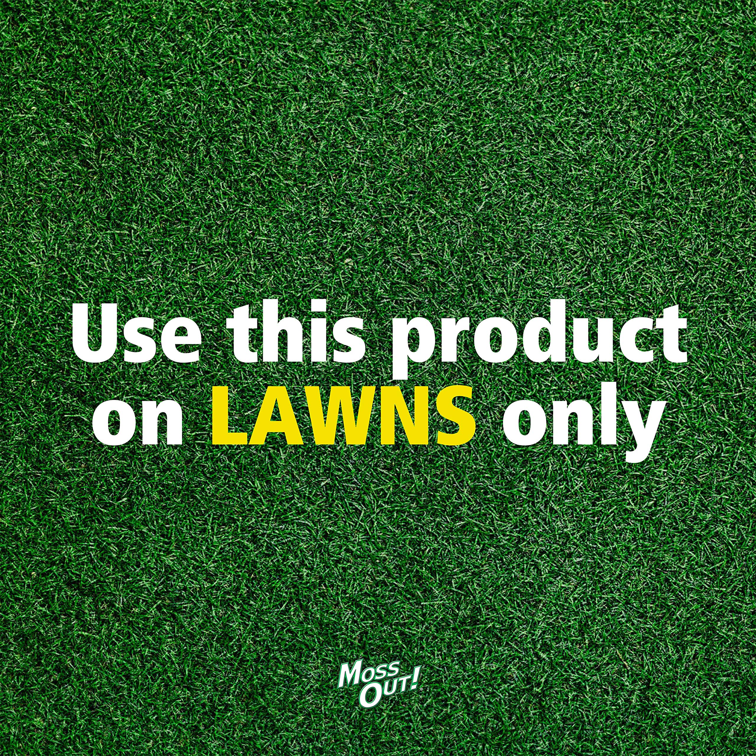Lilly Miller Moss Out for Lawns Ready-to-Spray 32oz (1-Pack) | Fast-Acting Moss Killer | Safe for Grass | Ideal for Shady Areas, Roofs & Driveways