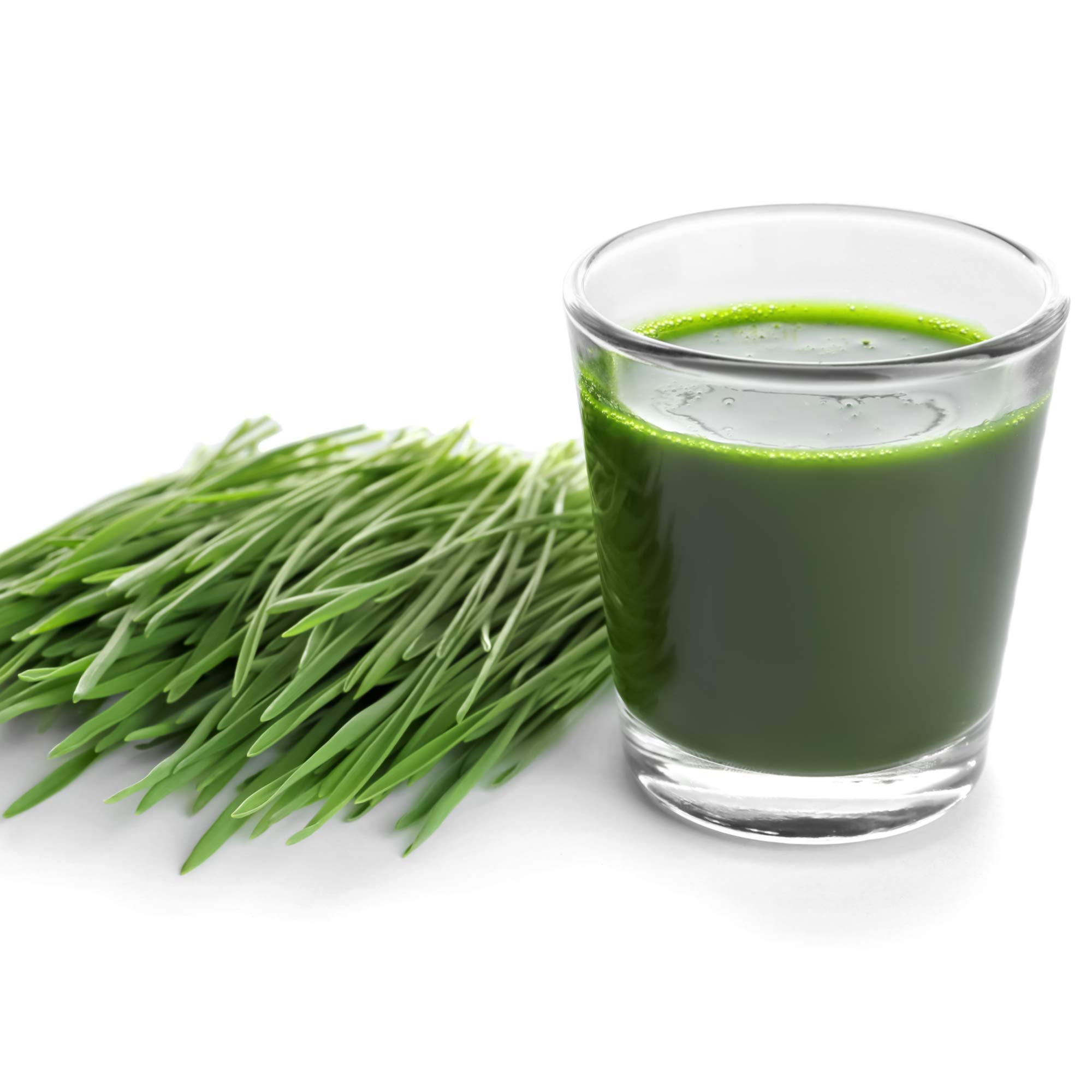 Stainless Steel Manual Wheatgrass Juicer - Handy Pantry HJ Hurricane for Fresh Wheatgrass Juice | Perfect for Home, Gym & Healthy Lifestyle