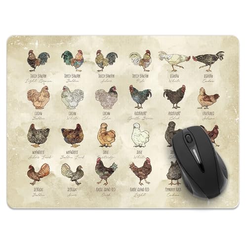 Chicken Rooster Breeds Pencil Drawing