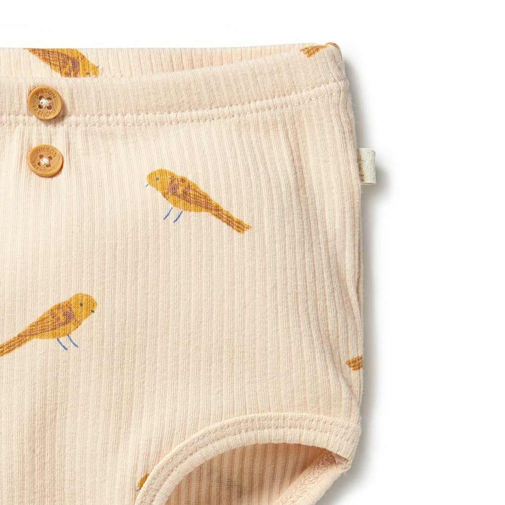 Organic Cotton Baby Ribbed Diaper Pants - Soft & Breathable for Newborns & Infants - Perfect for Daycare, Playtime & Sleep